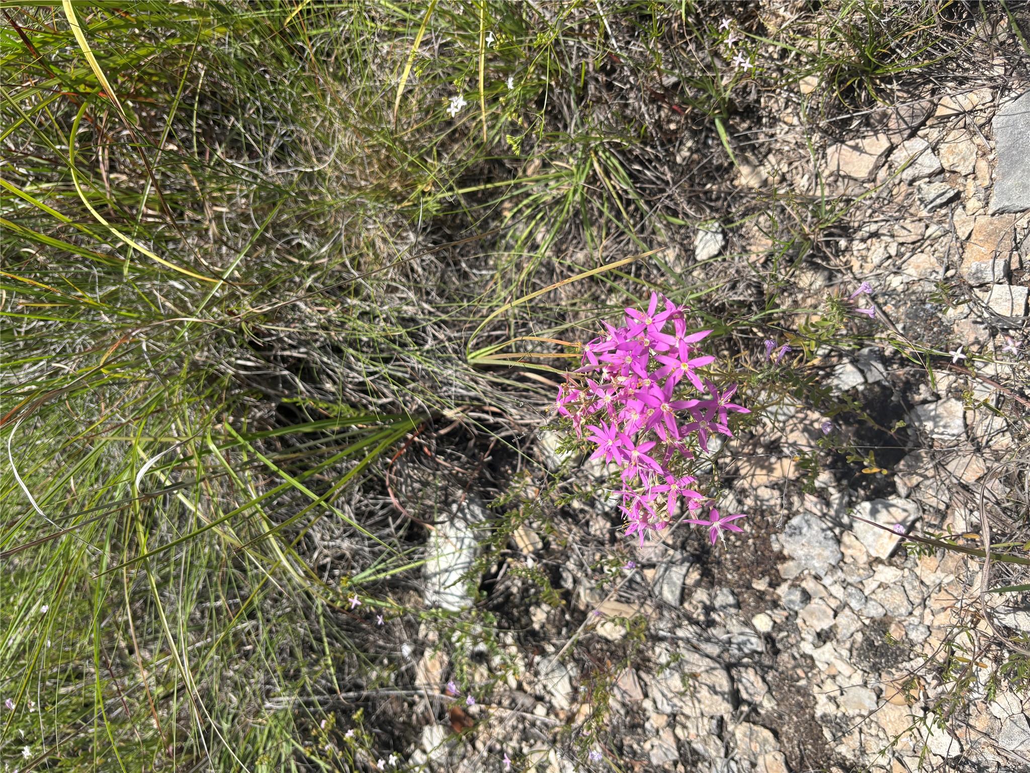 8324 Lime Creek Rd, Volente, TX 78641