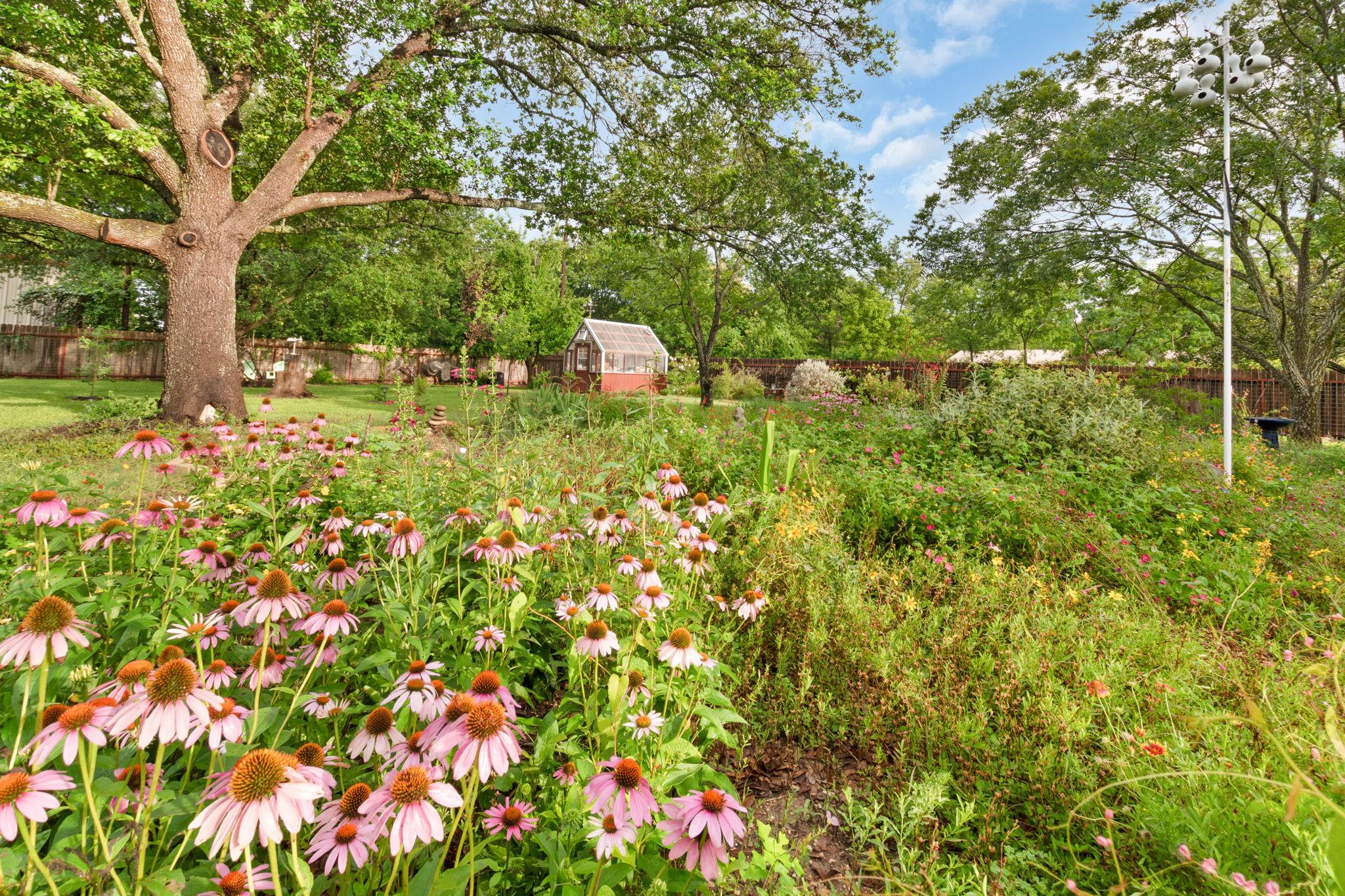 310 Cardinal Ln, Burnet, TX 78611