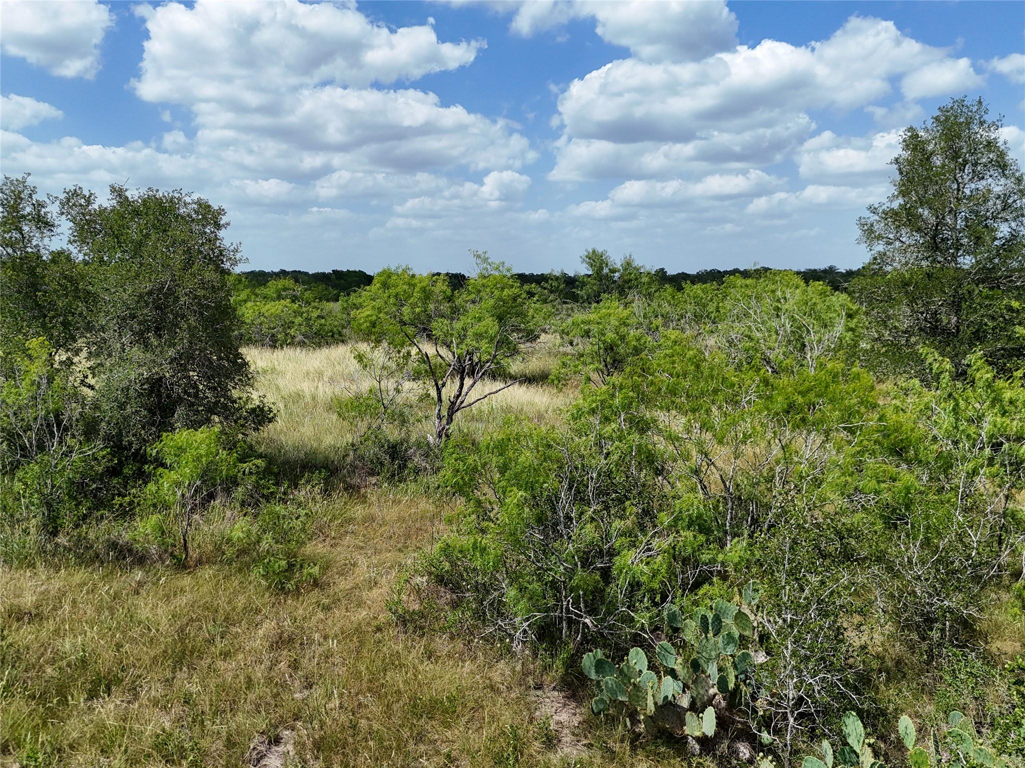 Lot 8 FM 2814, Waelder, TX 78959