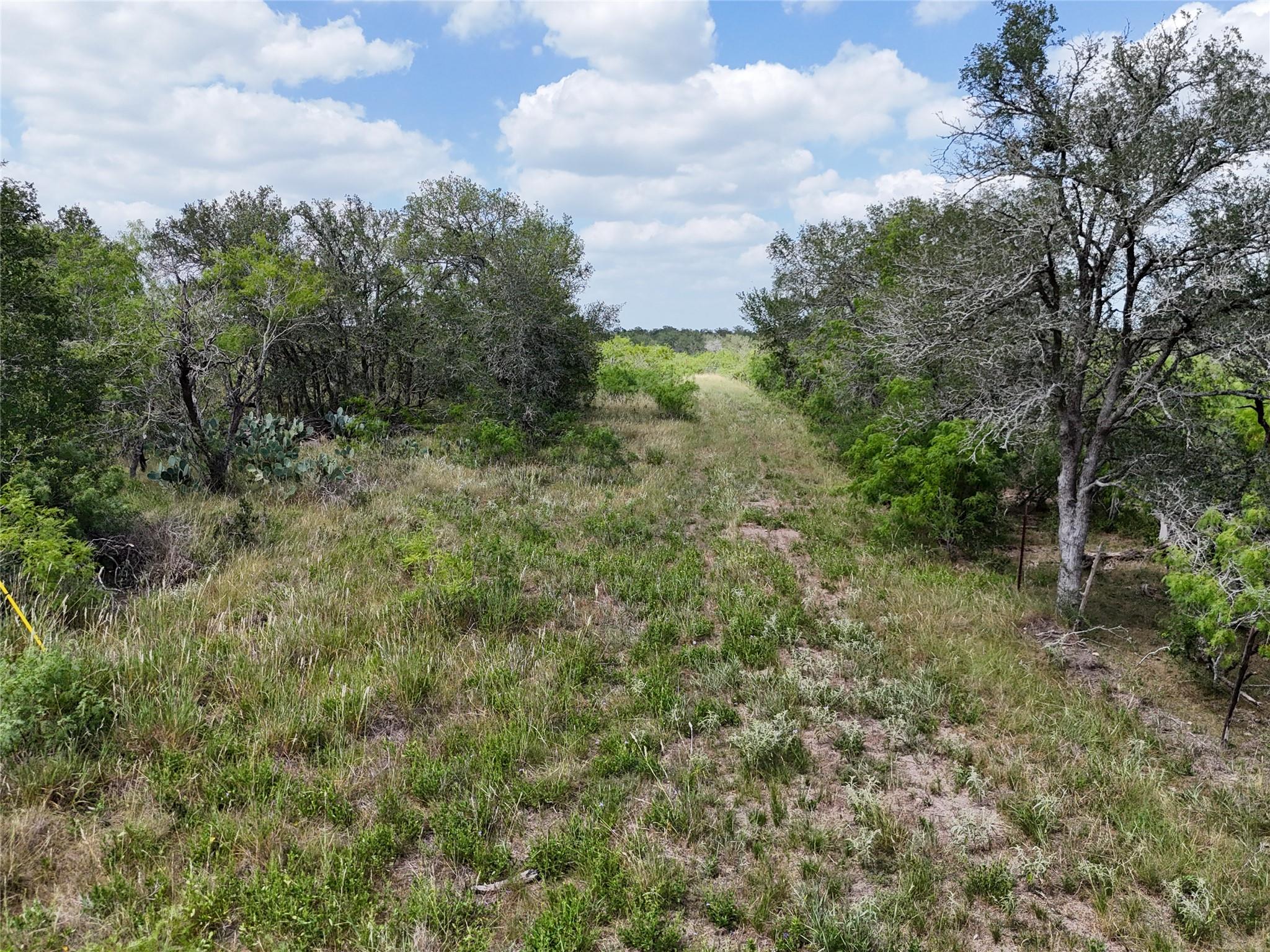 Lot 8 FM 2814, Waelder, TX 78959