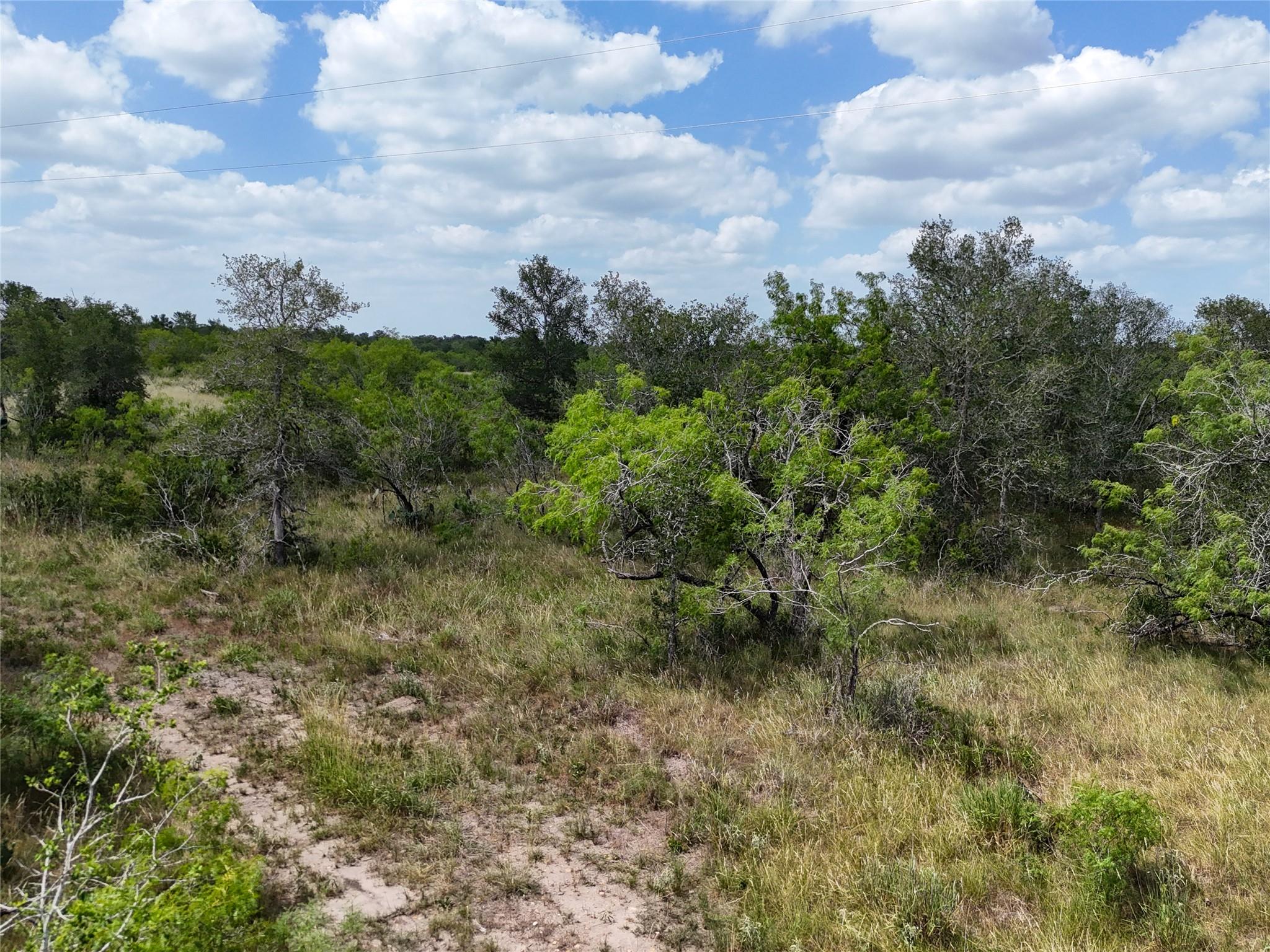Lot 8 FM 2814, Waelder, TX 78959
