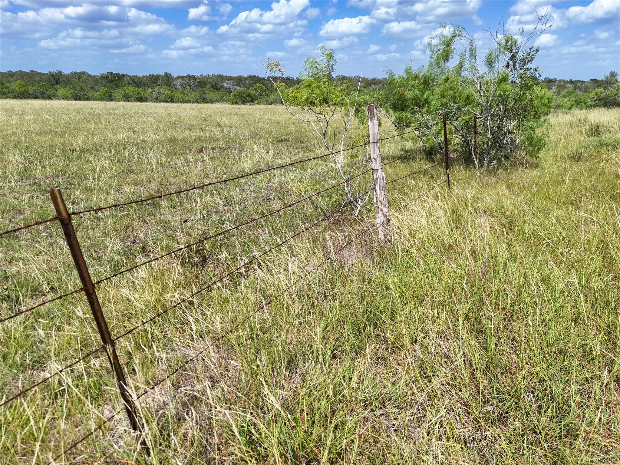 Lot 8 FM 2814, Waelder, TX 78959