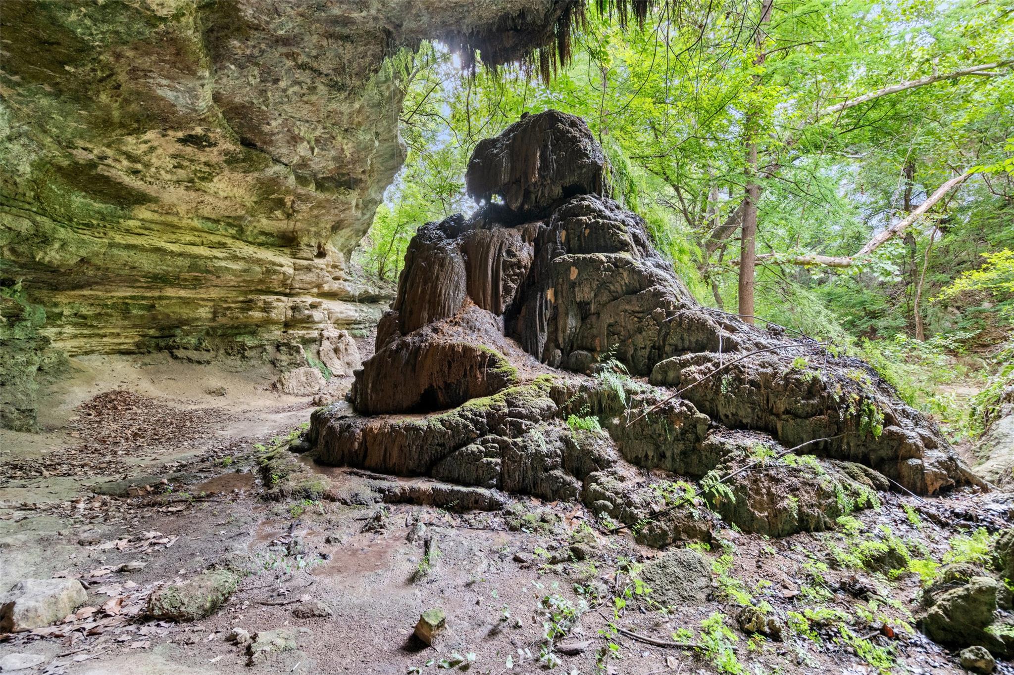 1502 Pace Bend Rd S, Spicewood, TX 78669