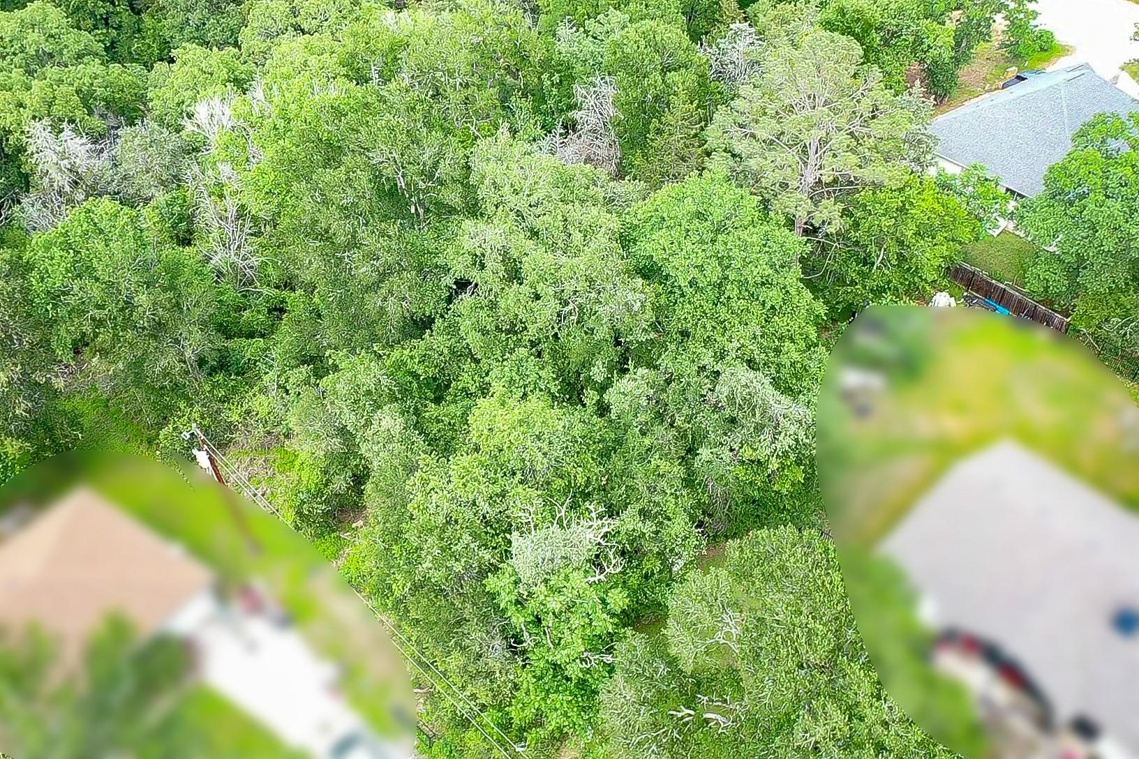 111 Nuupia Ct, Bastrop, TX 78602