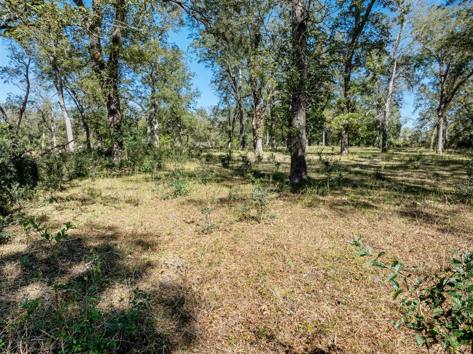 1112 County Road 255, Gonzales, TX 78629