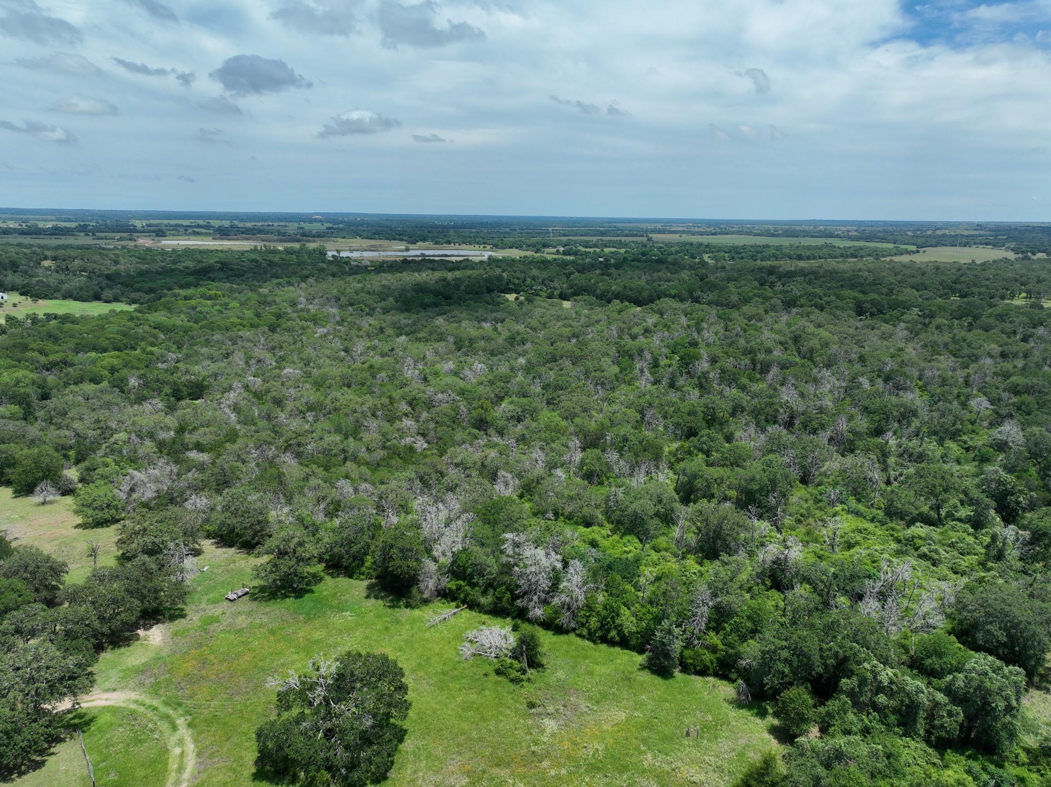tbd Farm To Market 3233 Rd, La Grange, TX 78945