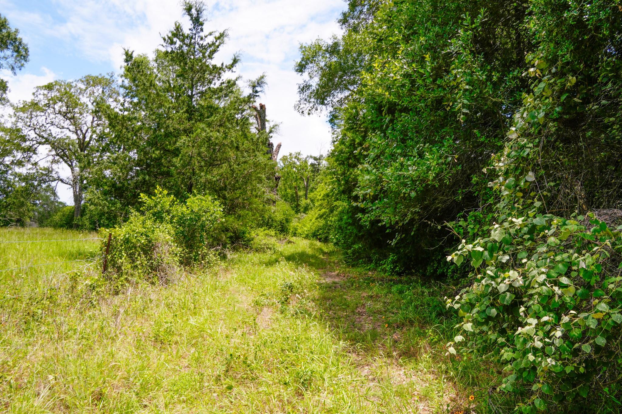 tbd Farm To Market 3233 Rd, La Grange, TX 78945