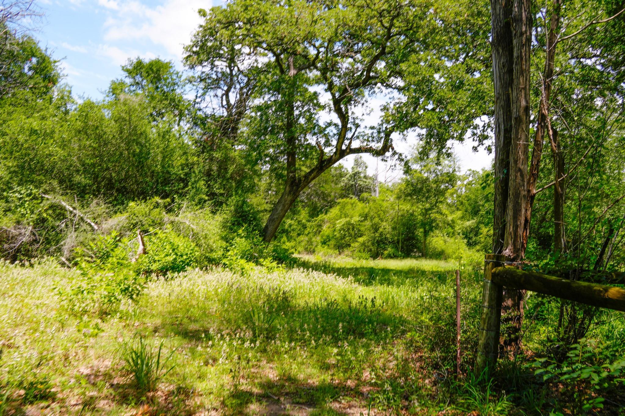 tbd Farm To Market 3233 Rd, La Grange, TX 78945