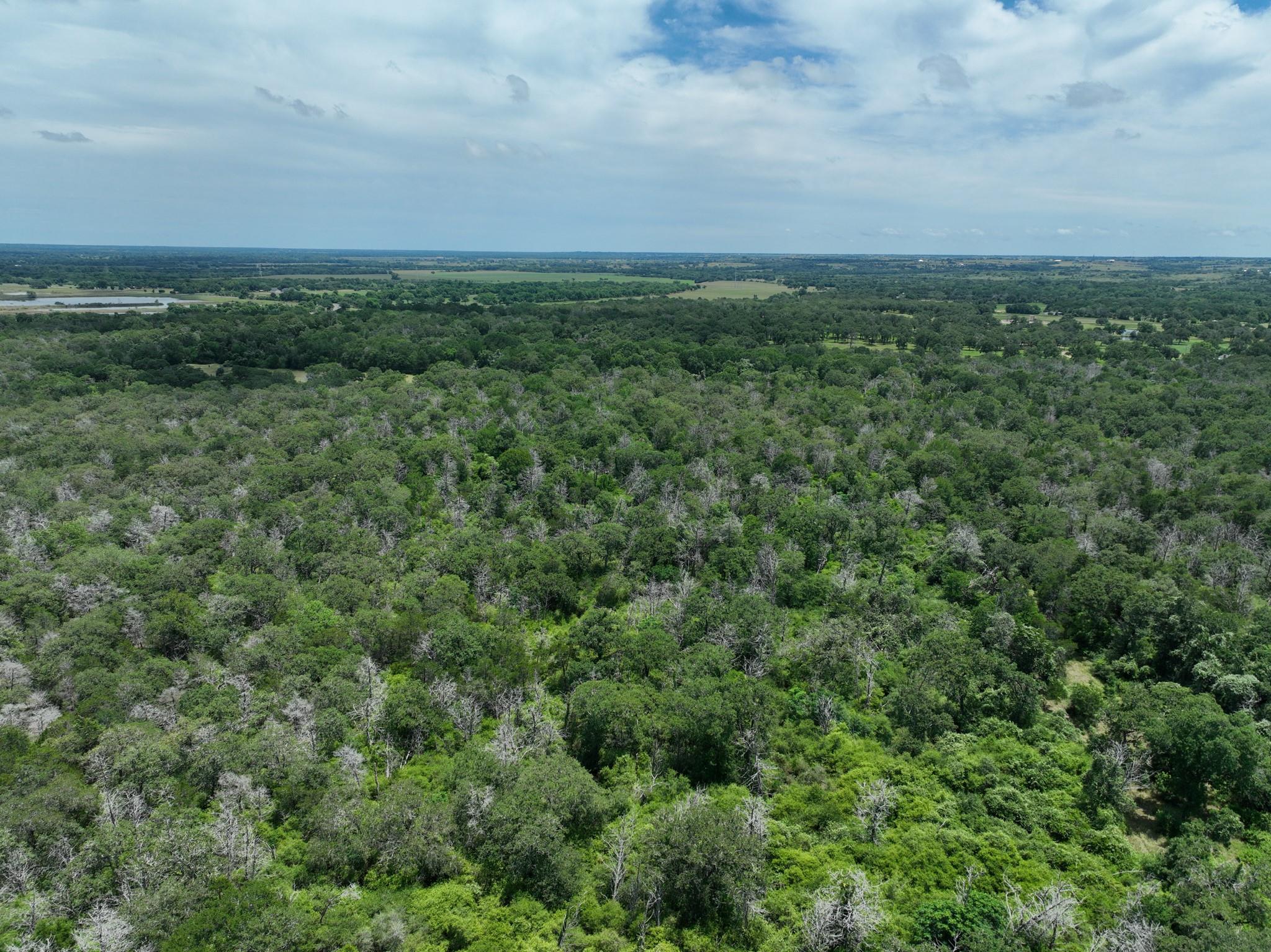 tbd Farm To Market 3233 Rd, La Grange, TX 78945