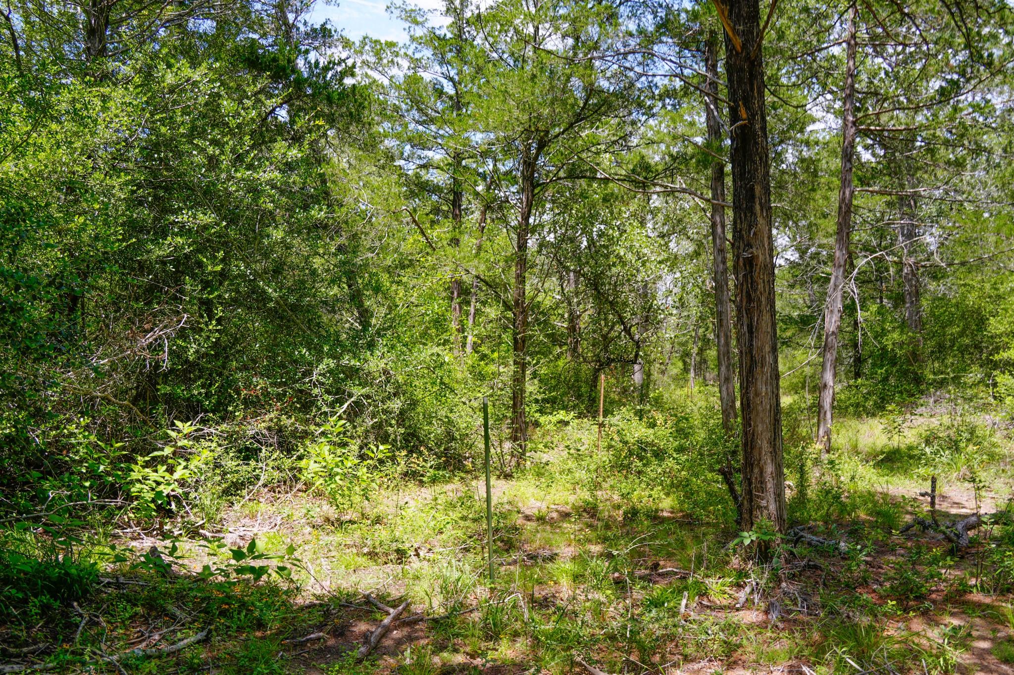 tbd Farm To Market 3233 Rd, La Grange, TX 78945