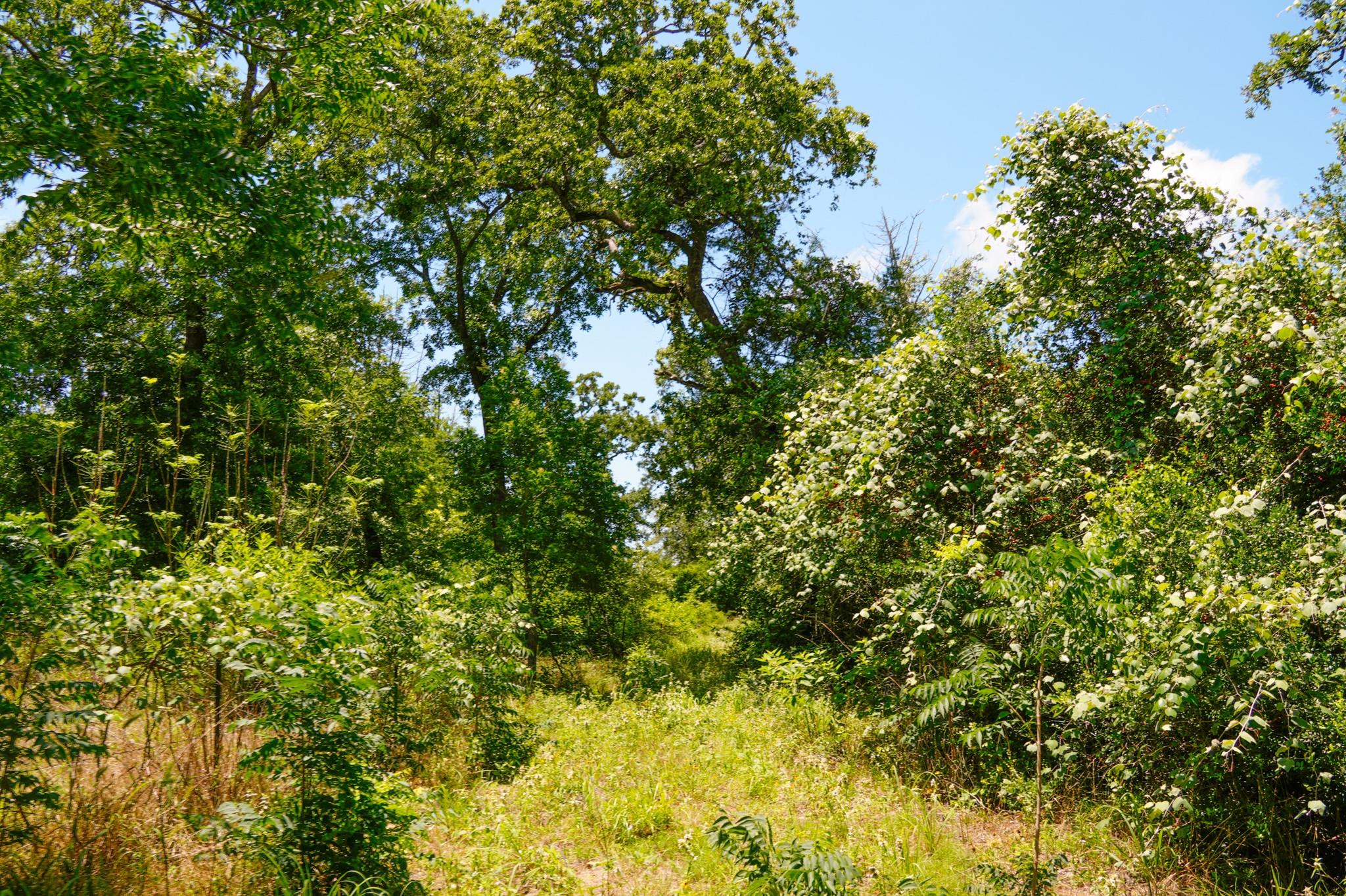 tbd Farm To Market 3233 Rd, La Grange, TX 78945