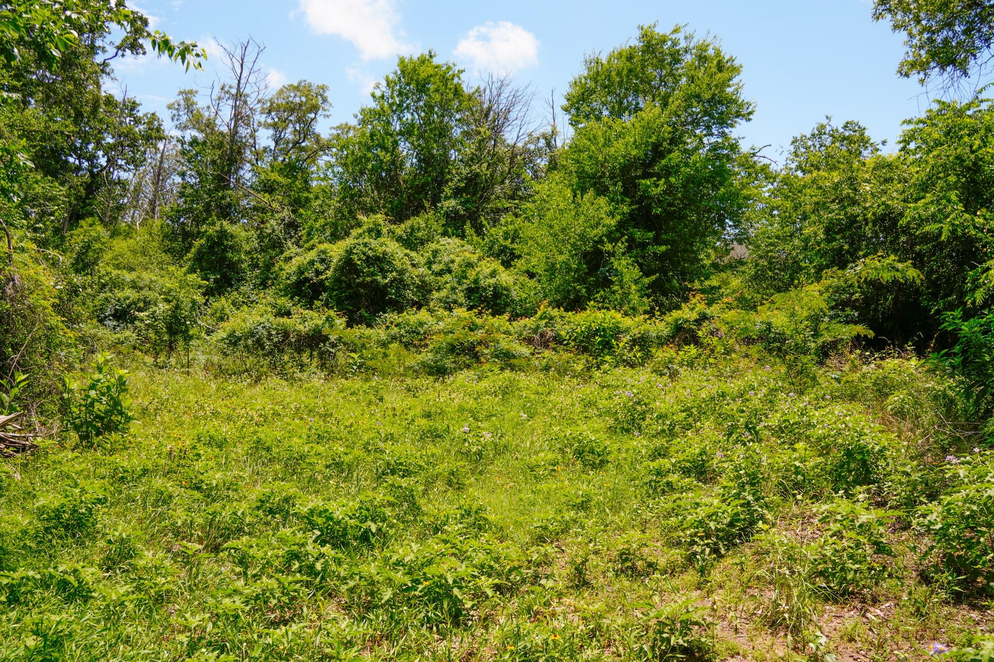 tbd Farm To Market 3233 Rd, La Grange, TX 78945