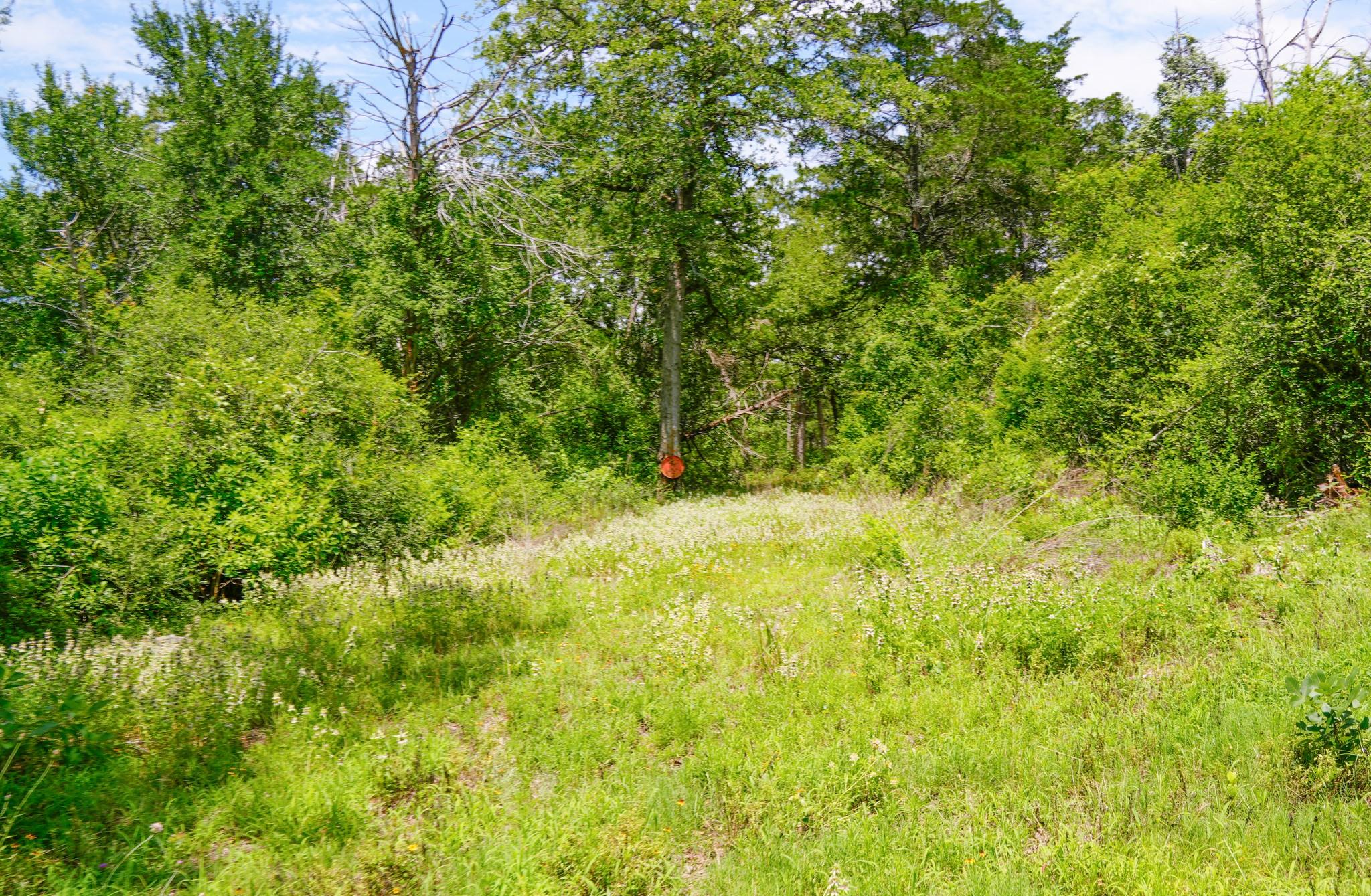 tbd Farm To Market 3233 Rd, La Grange, TX 78945