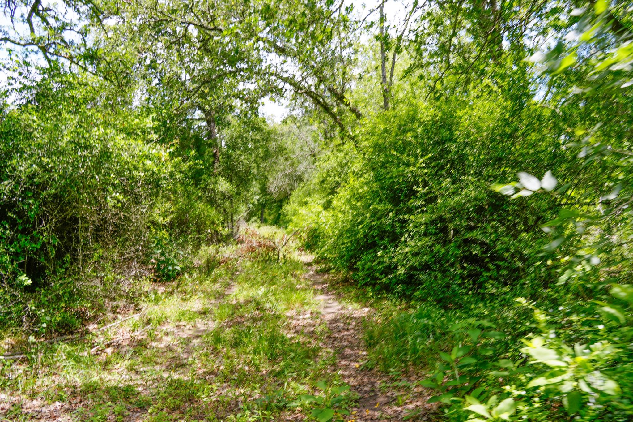 tbd Farm To Market 3233 Rd, La Grange, TX 78945