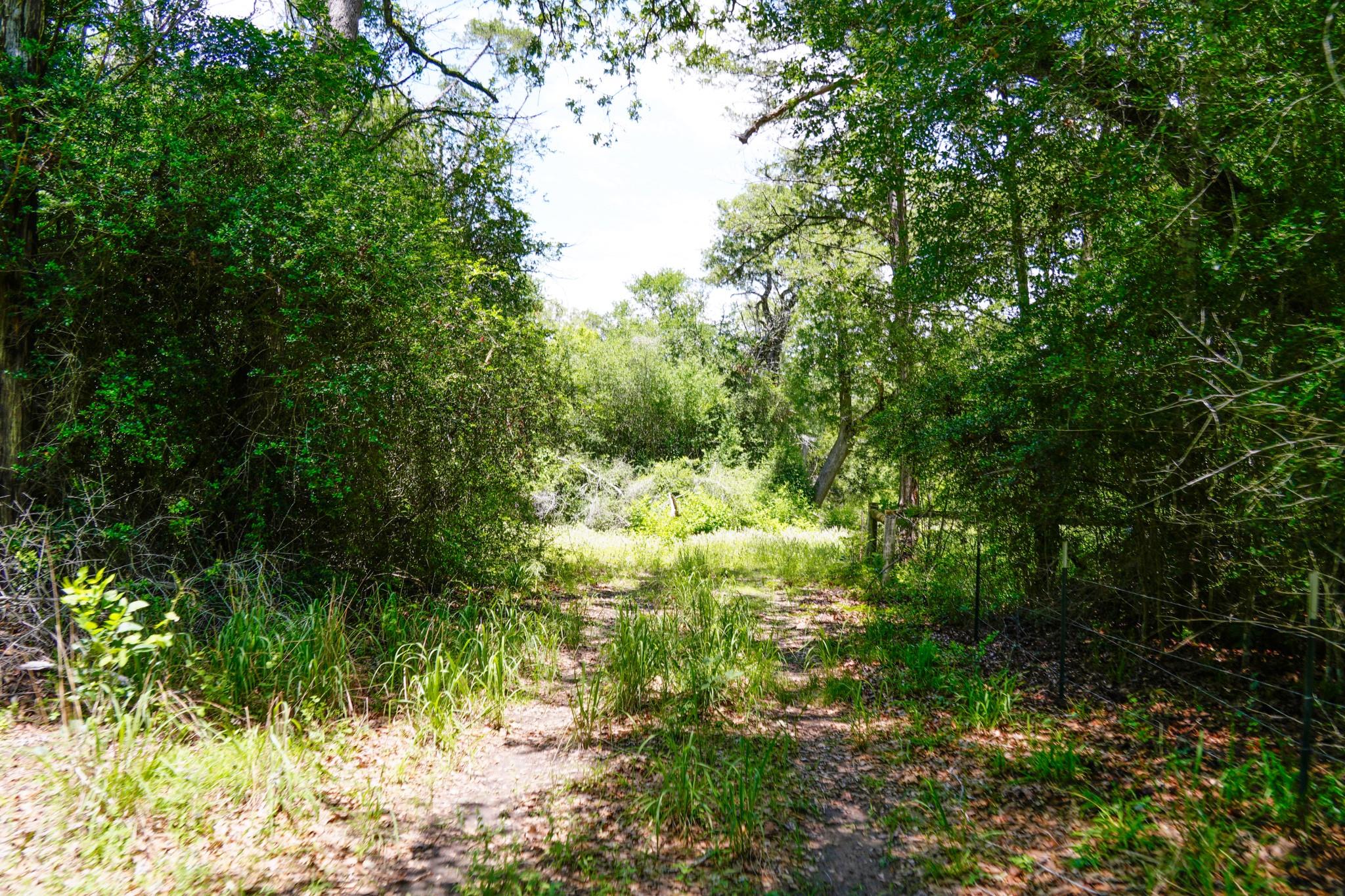tbd Farm To Market 3233 Rd, La Grange, TX 78945