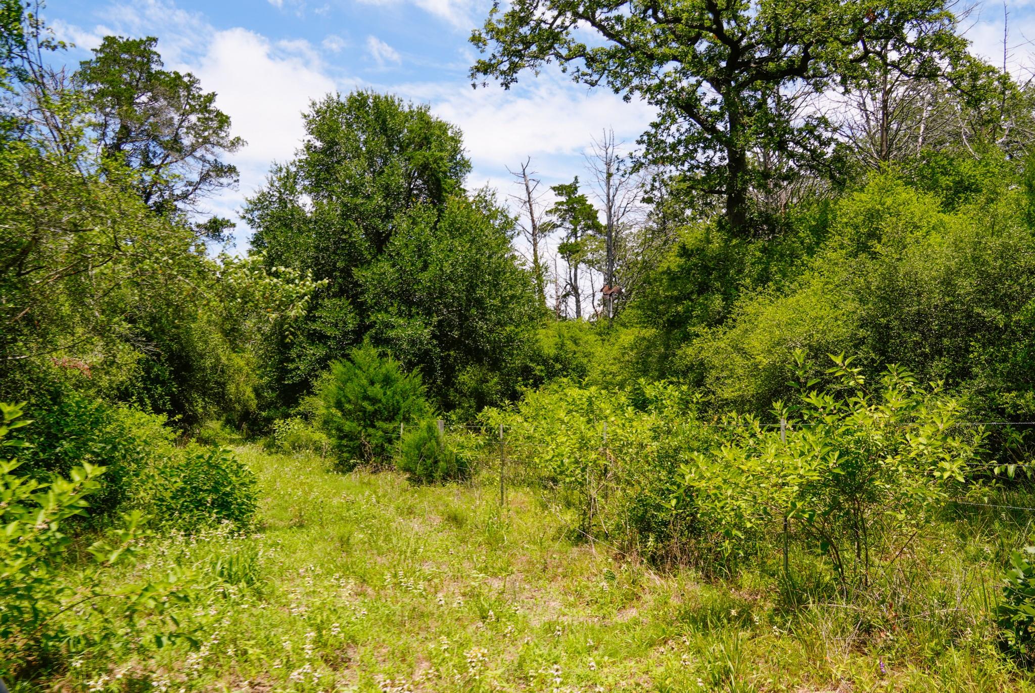 tbd Farm To Market 3233 Rd, La Grange, TX 78945