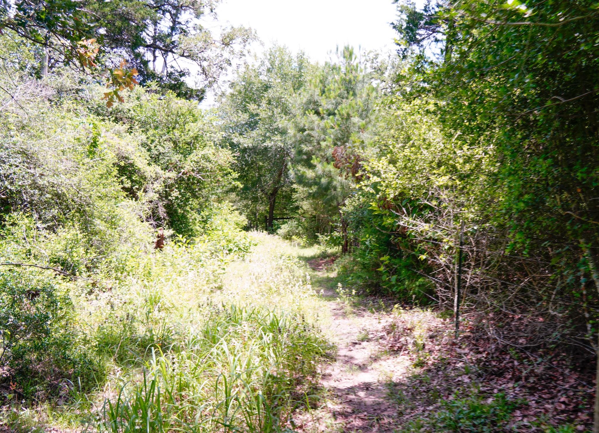 tbd Farm To Market 3233 Rd, La Grange, TX 78945