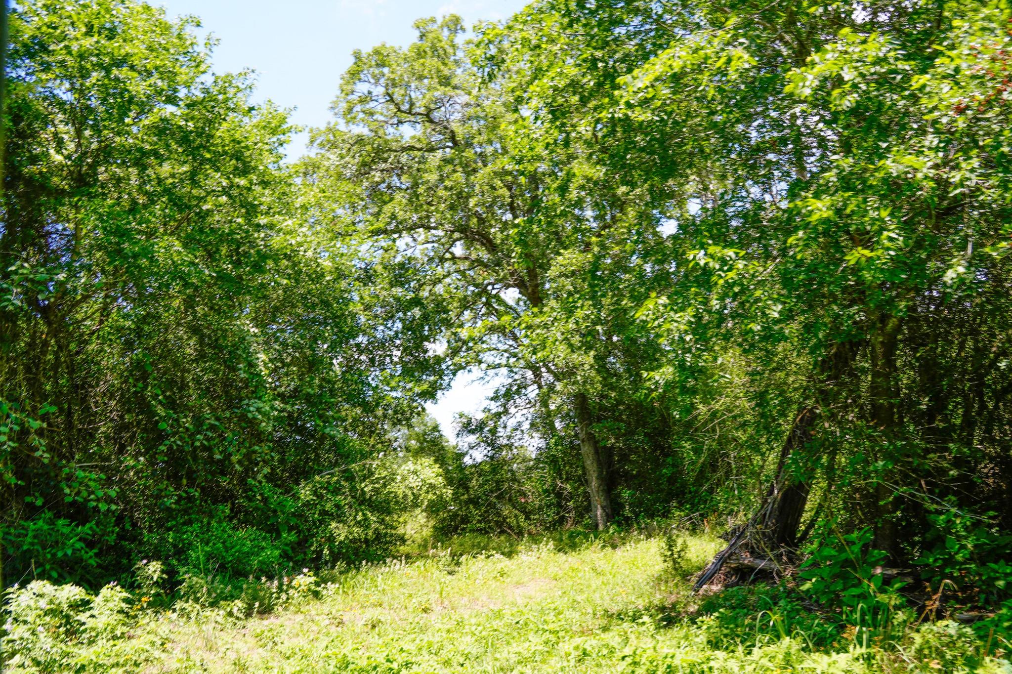 tbd Farm To Market 3233 Rd, La Grange, TX 78945
