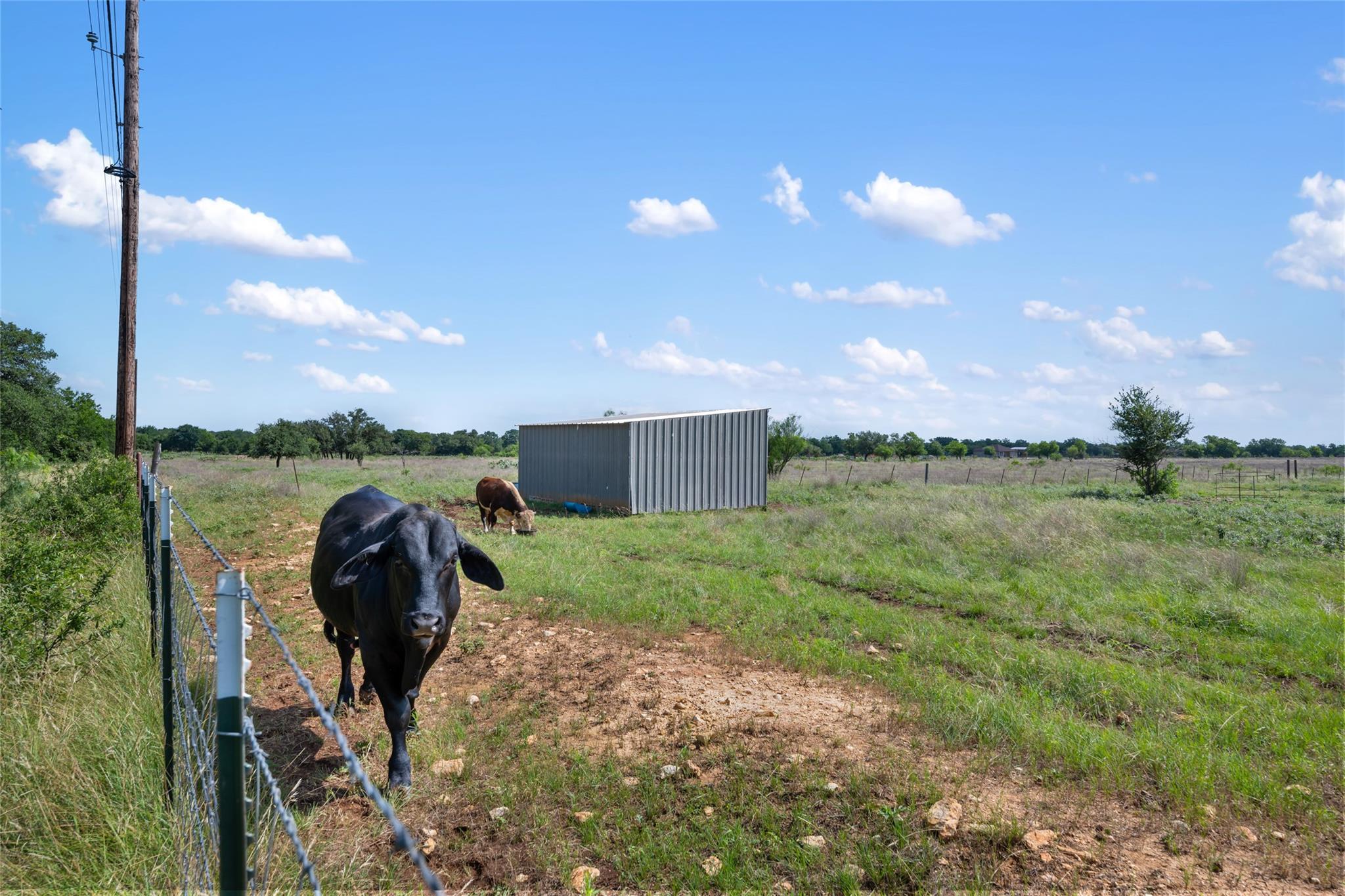 1100-1150 County Road 308 Rd # 1100-1150, Jarrell, TX 76537