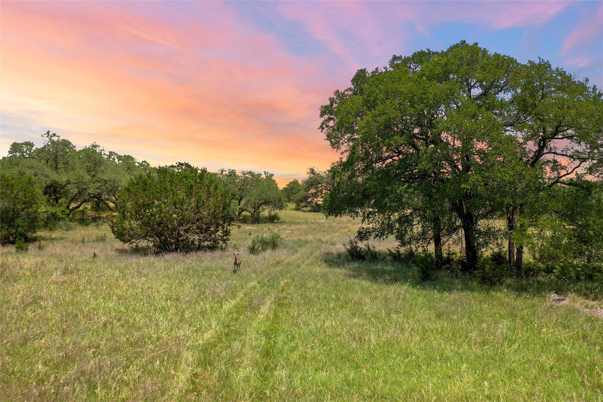 1128 Posey Ranch Rd, Fischer, TX 78623