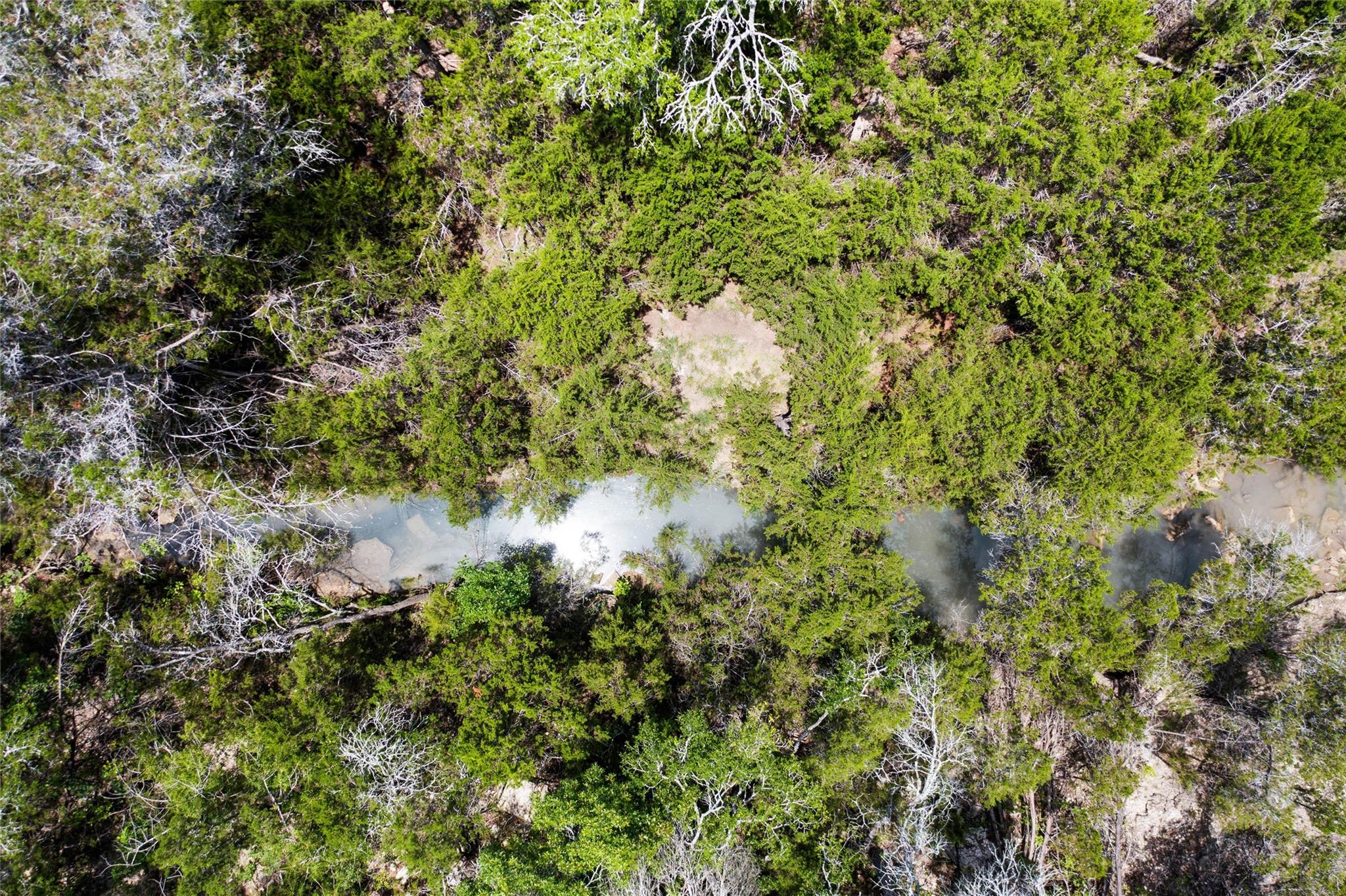 1128 Posey Ranch Rd, Fischer, TX 78623