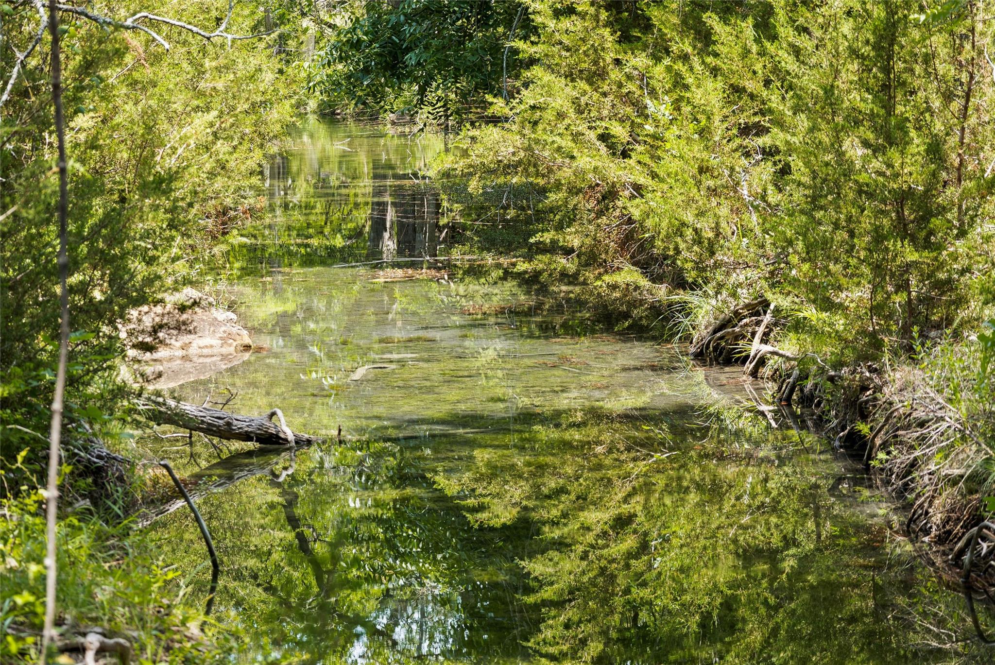 1128 Posey Ranch Rd, Fischer, TX 78623