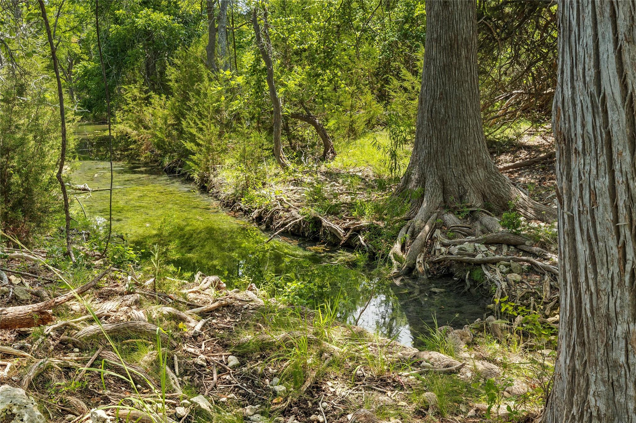 1128 Posey Ranch Rd, Fischer, TX 78623