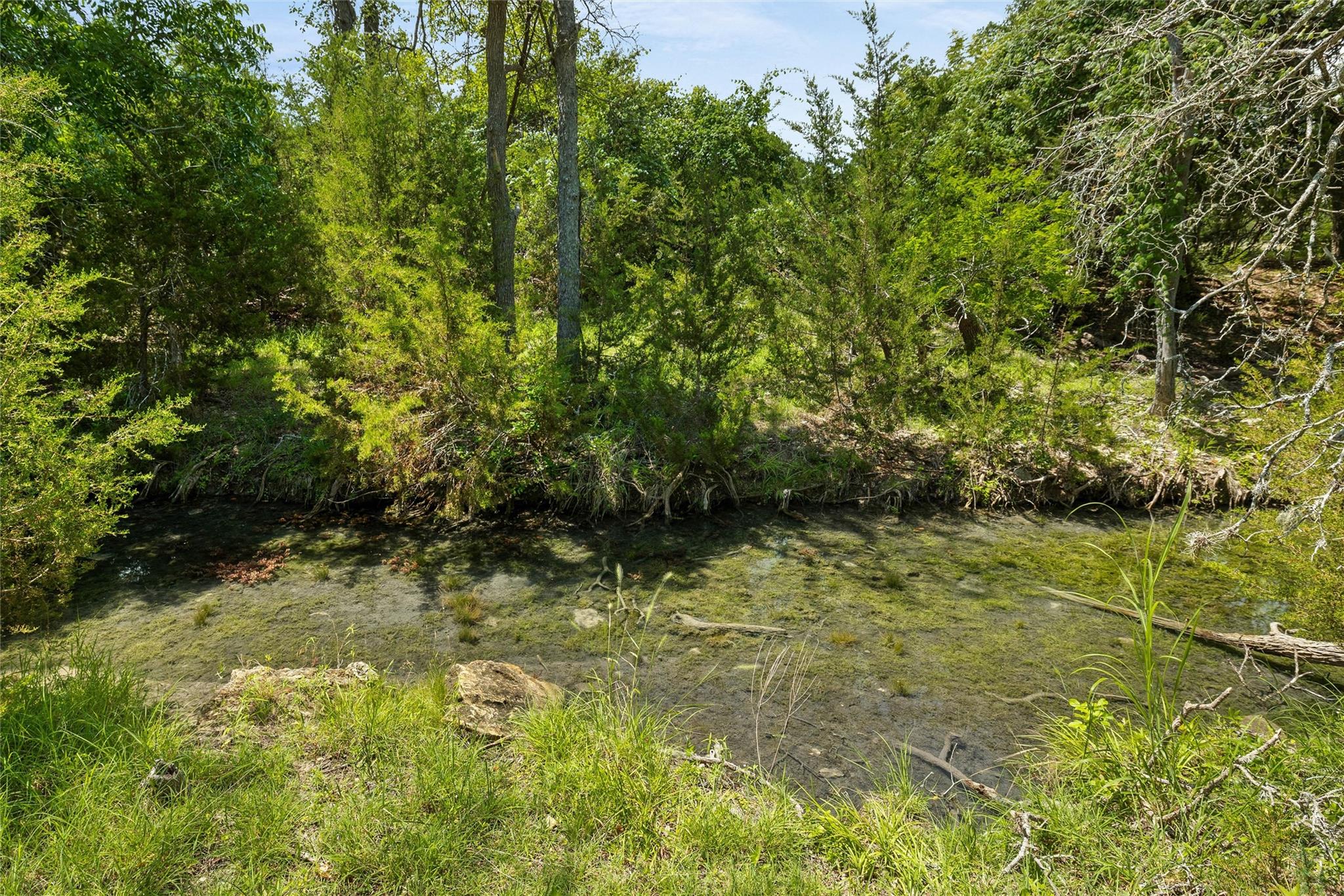 1128 Posey Ranch Rd, Fischer, TX 78623