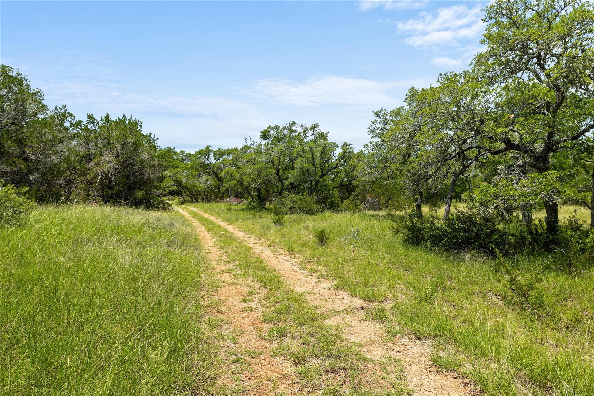 1128 Posey Ranch Rd, Fischer, TX 78623
