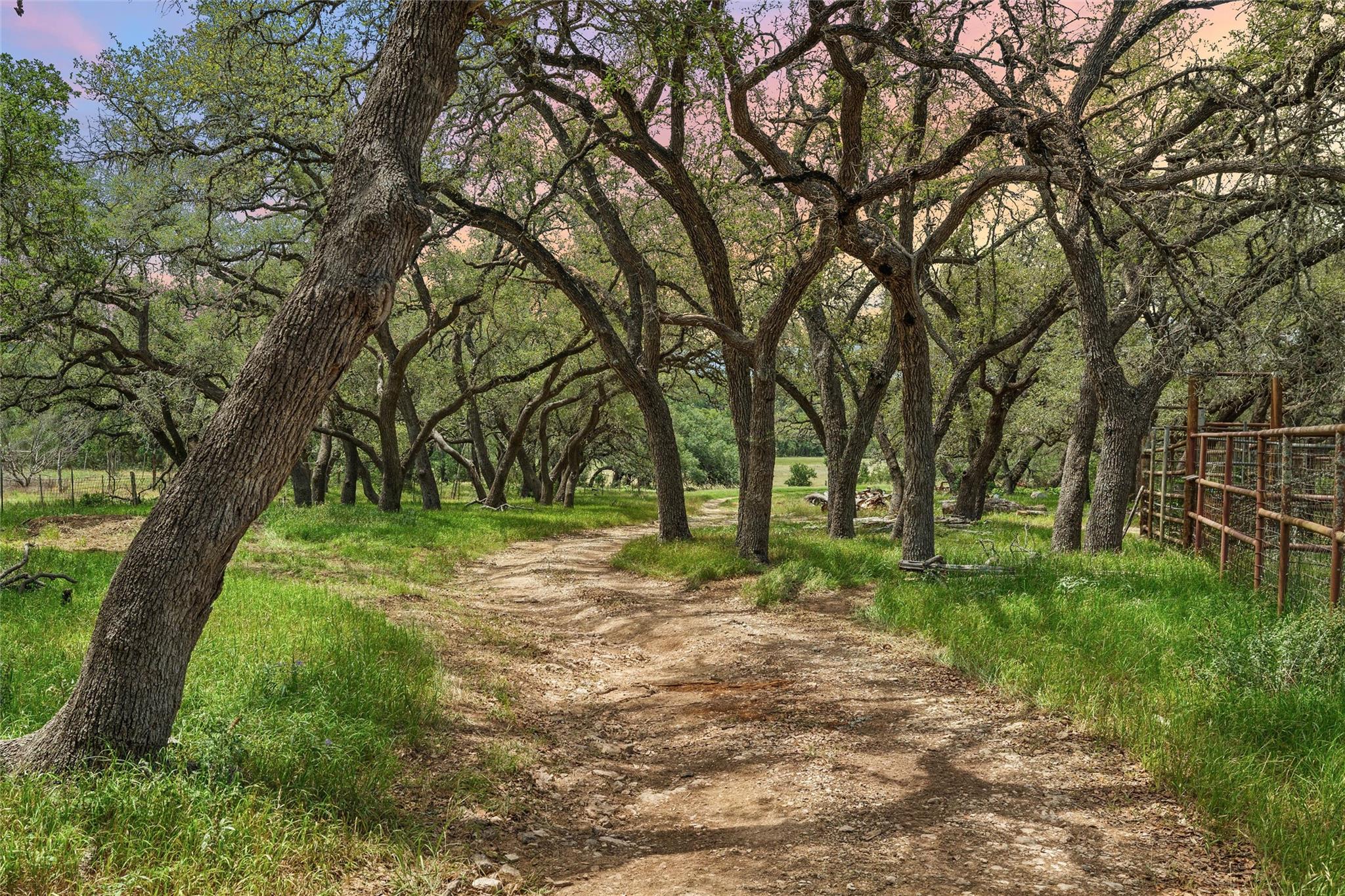 1128 Posey Ranch Rd, Fischer, TX 78623