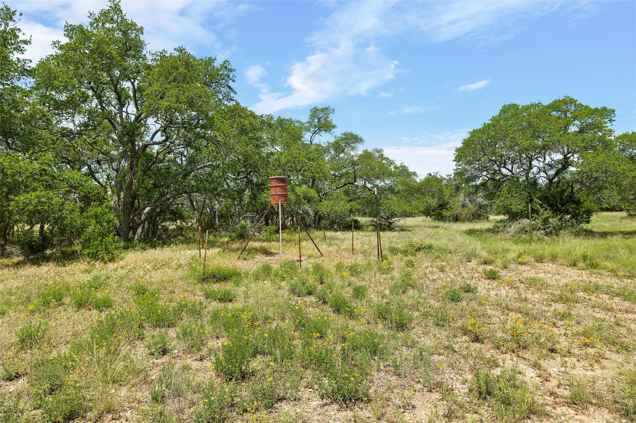1128 Posey Ranch Rd, Fischer, TX 78623