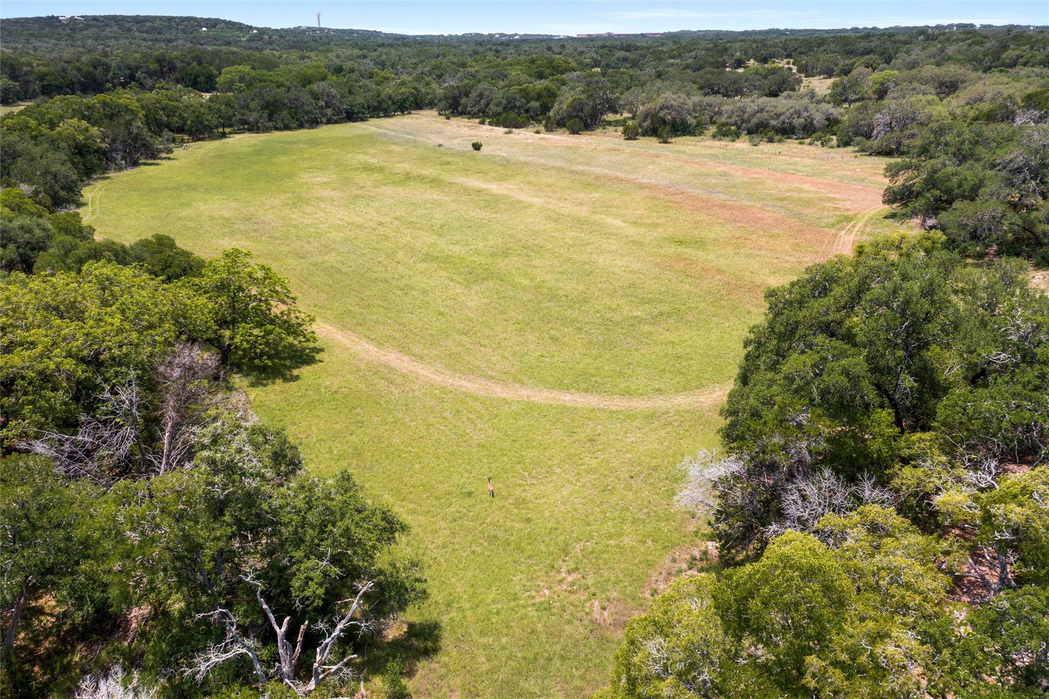 1128 Posey Ranch Rd, Fischer, TX 78623