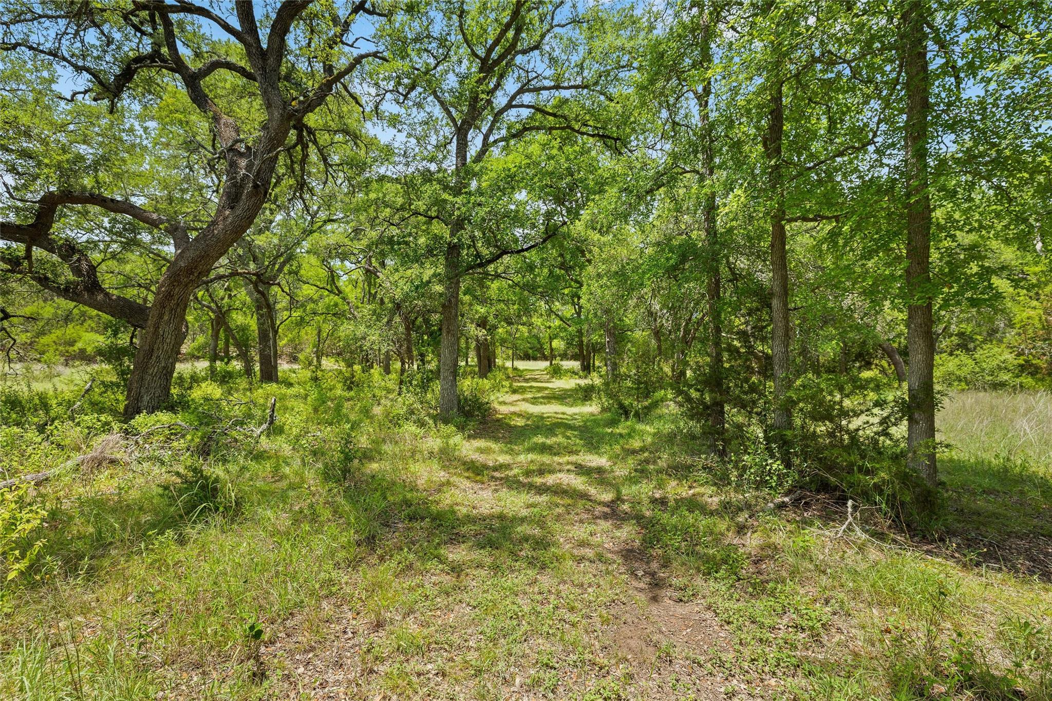 1128 Posey Ranch Rd, Fischer, TX 78623