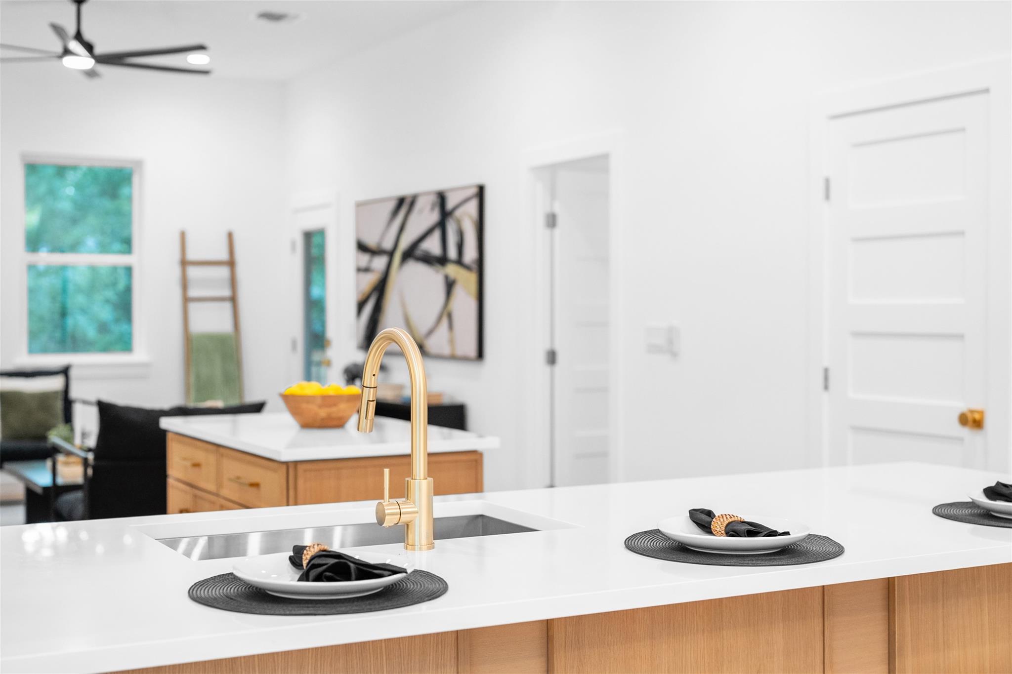 919 Gene Johnson St, Austin, TX 78751