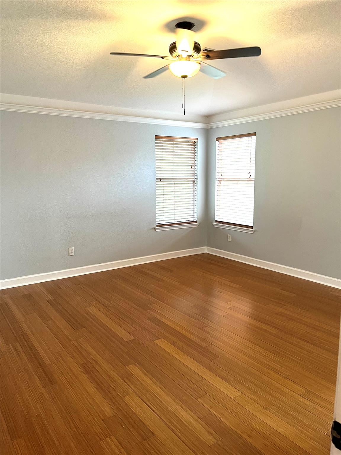 14333 Teacup Ln, Pflugerville, TX 78660