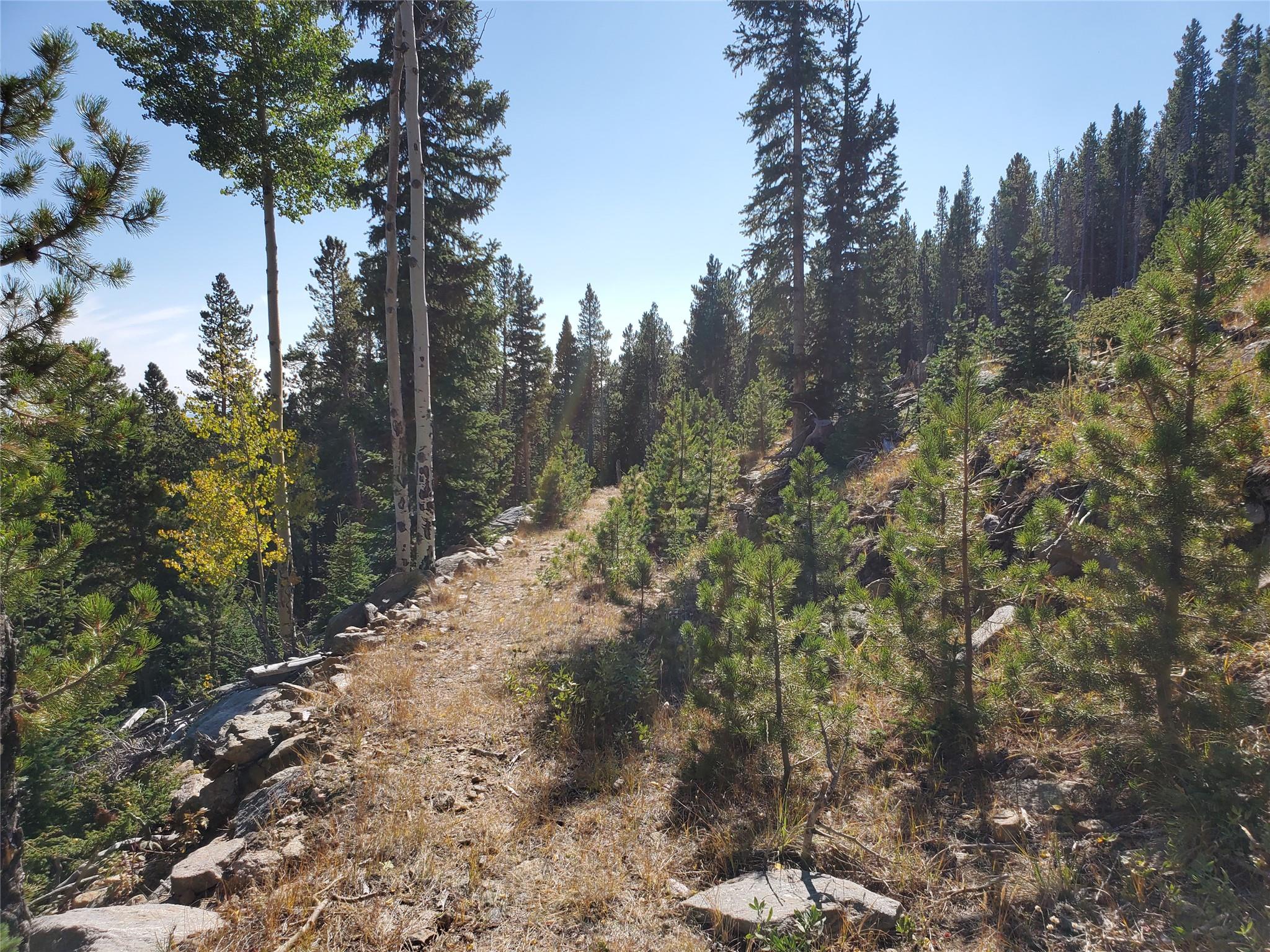 400 Long Road Rd, Out of State, CO 80452