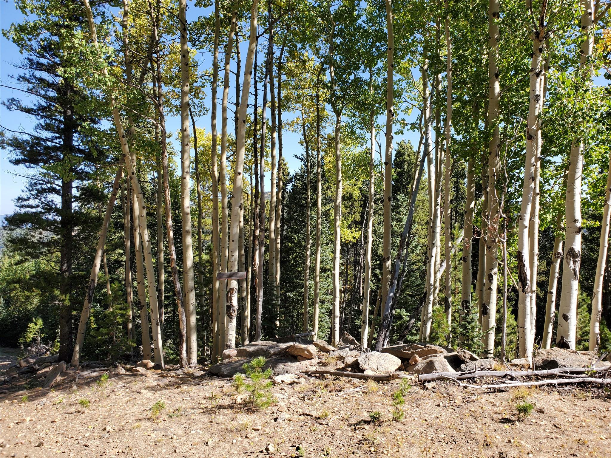 400 Long Road Rd, Out of State, CO 80452