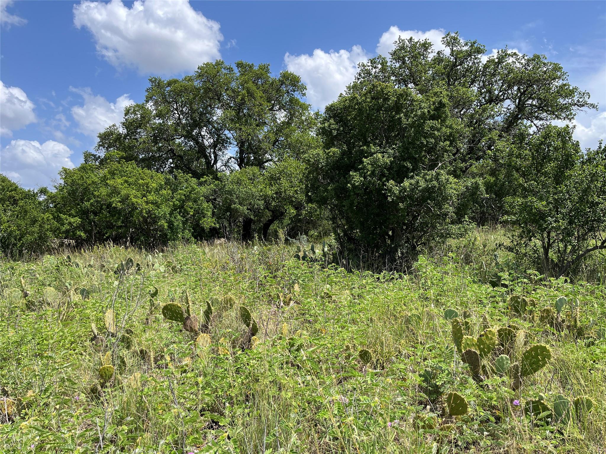 1105 Ute Rd, Horseshoe Bay, TX 78657