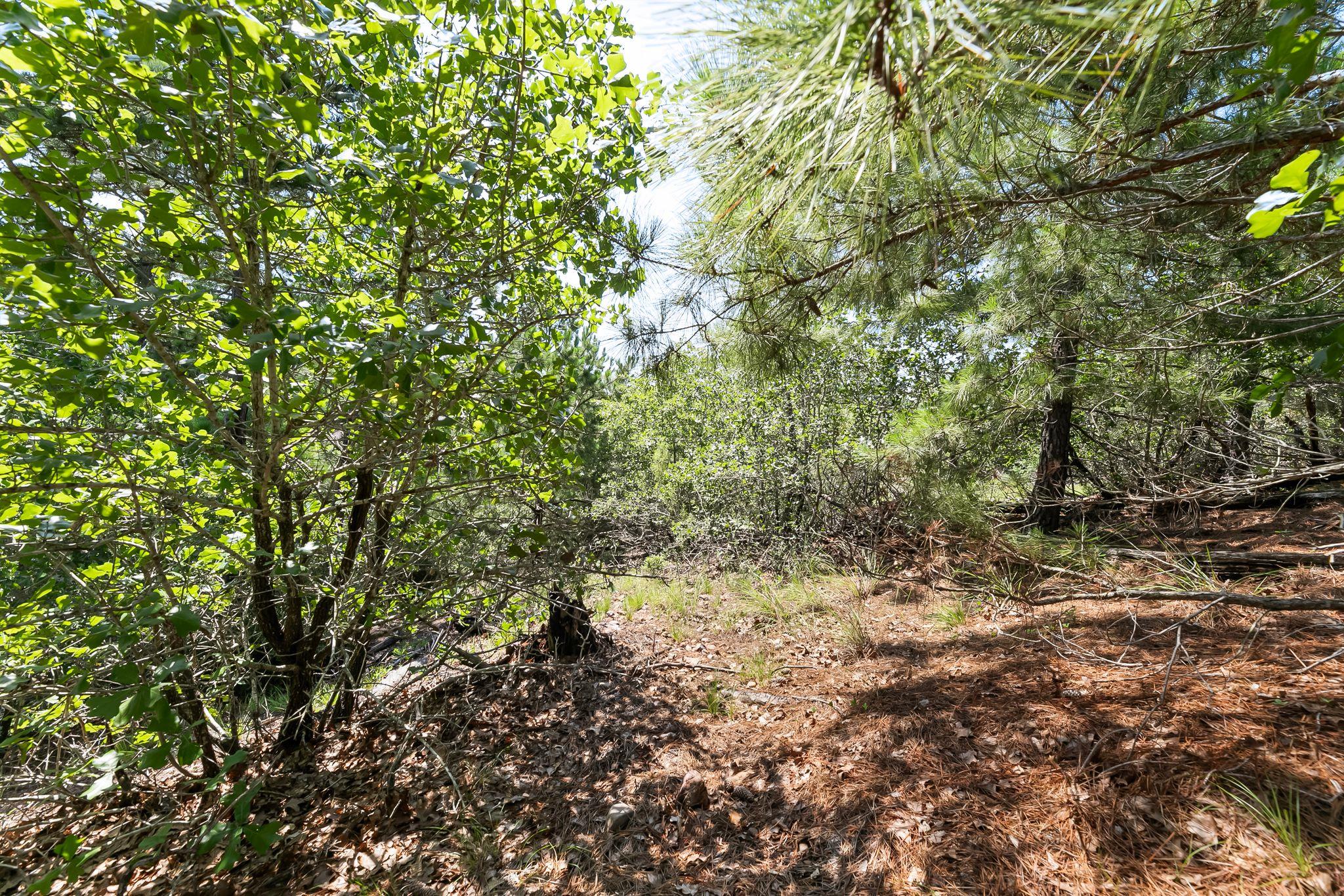 102 Moku Ct, Bastrop, TX 78602