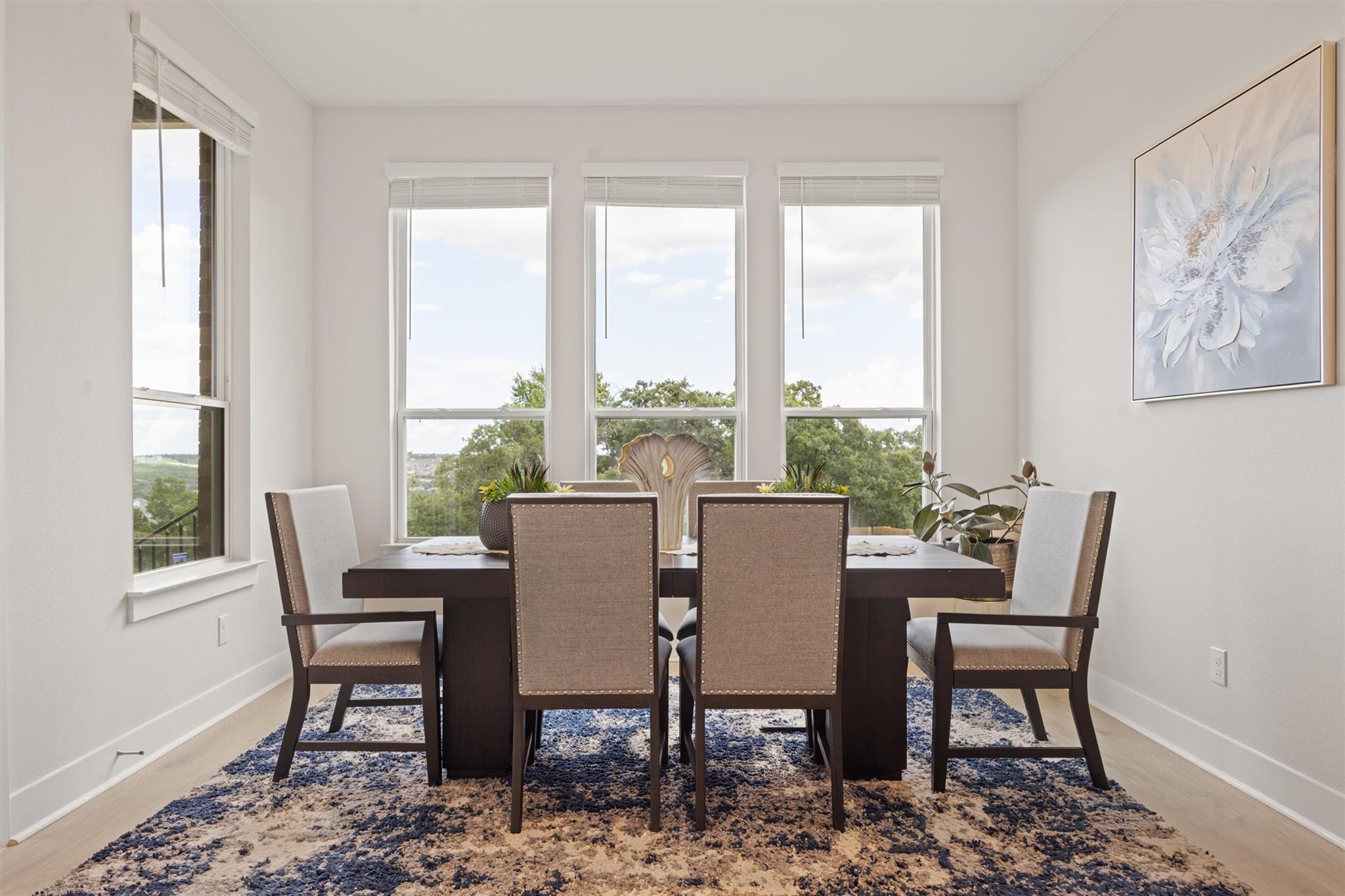 2233 Bellisa Vista Dr, Leander, TX 78641