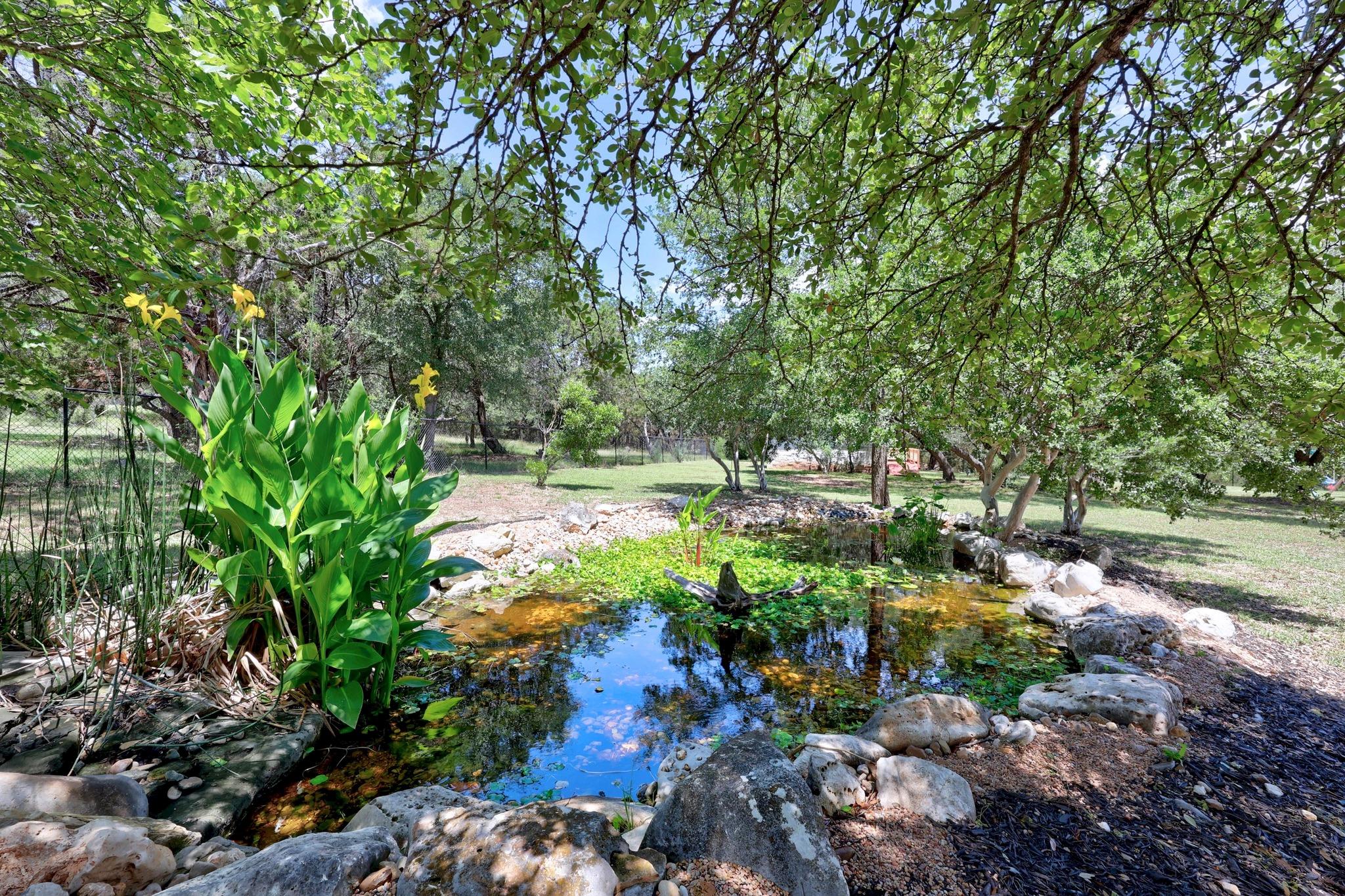 300 Speed Horse, Liberty Hill, TX 78642