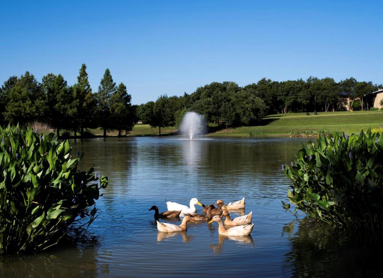 851 Catalina Ln, Austin, TX 78737