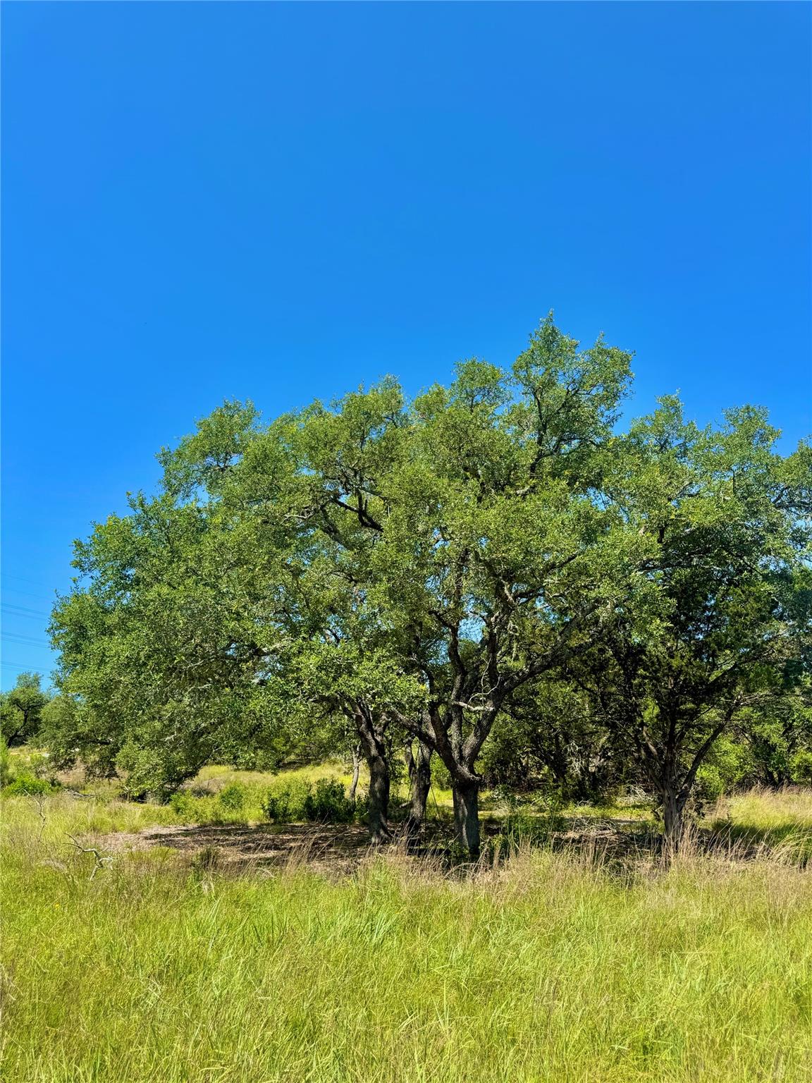 833 Bell Canyon Way, Bulverde, TX 78163