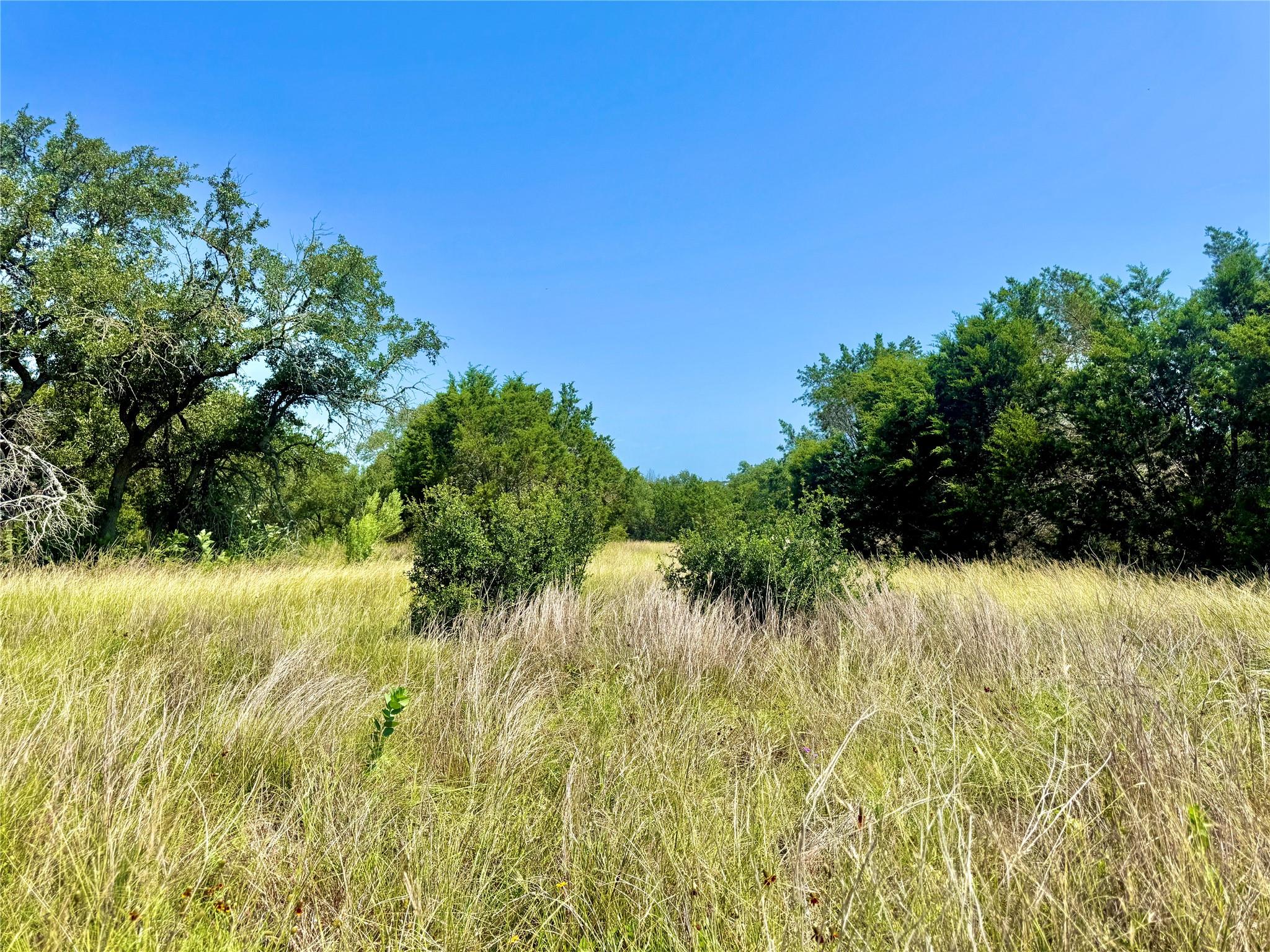 833 Bell Canyon Way, Bulverde, TX 78163
