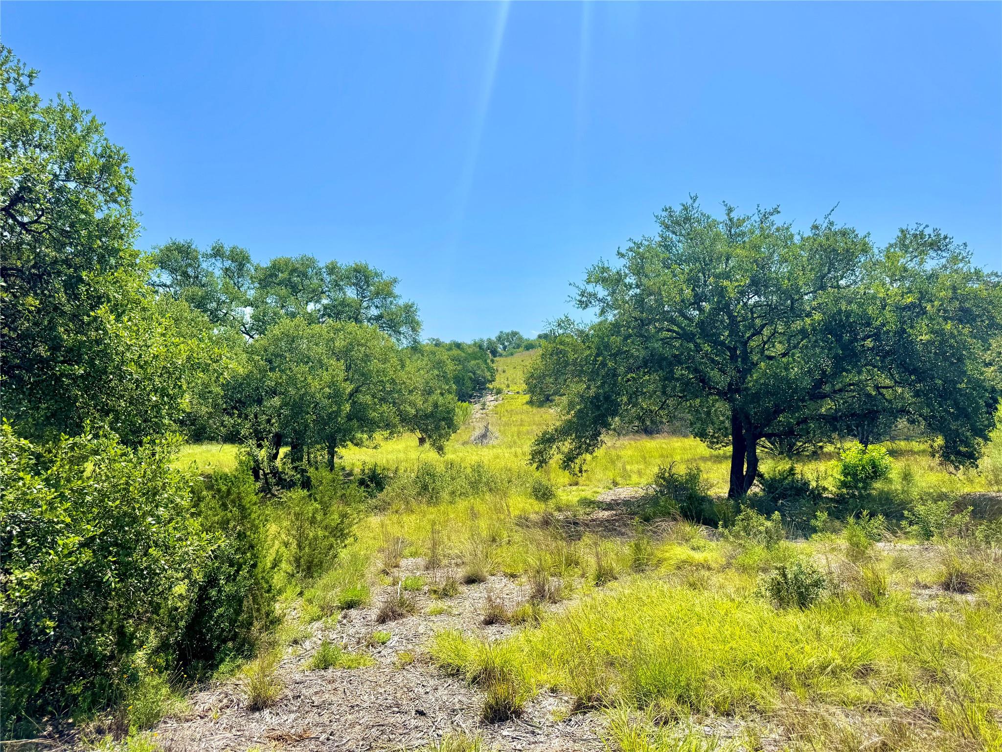 833 Bell Canyon Way, Bulverde, TX 78163