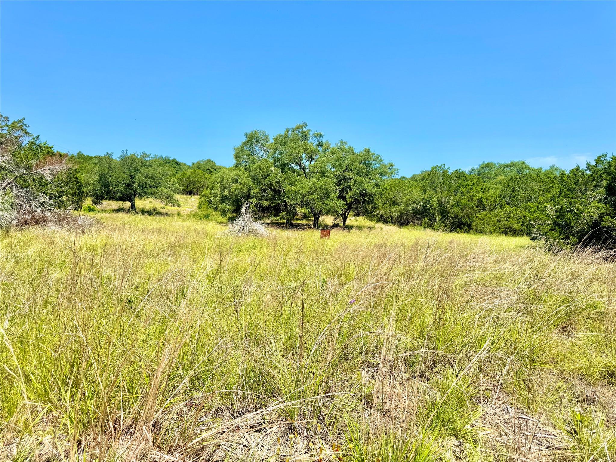 833 Bell Canyon Way, Bulverde, TX 78163
