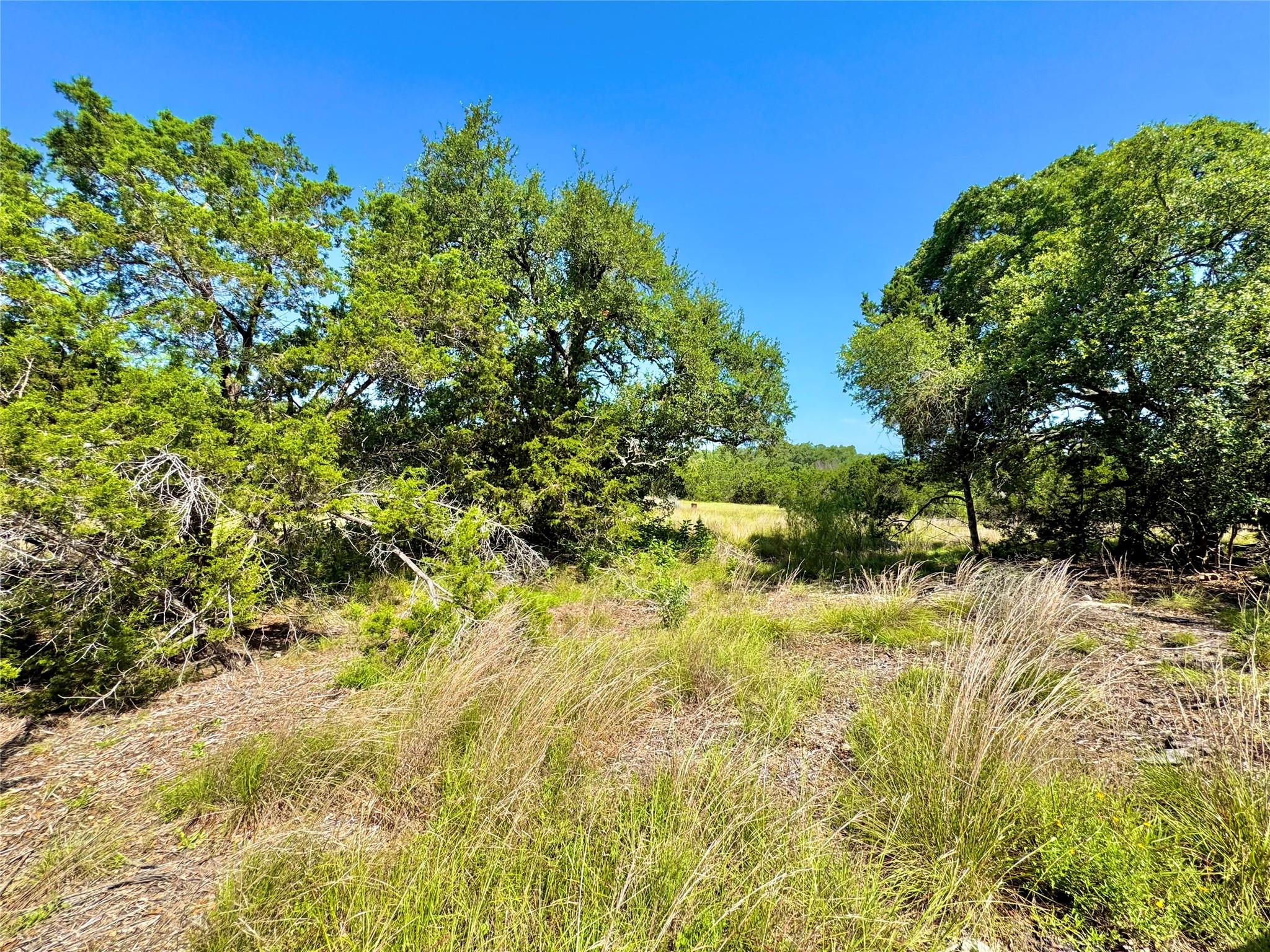 833 Bell Canyon Way, Bulverde, TX 78163