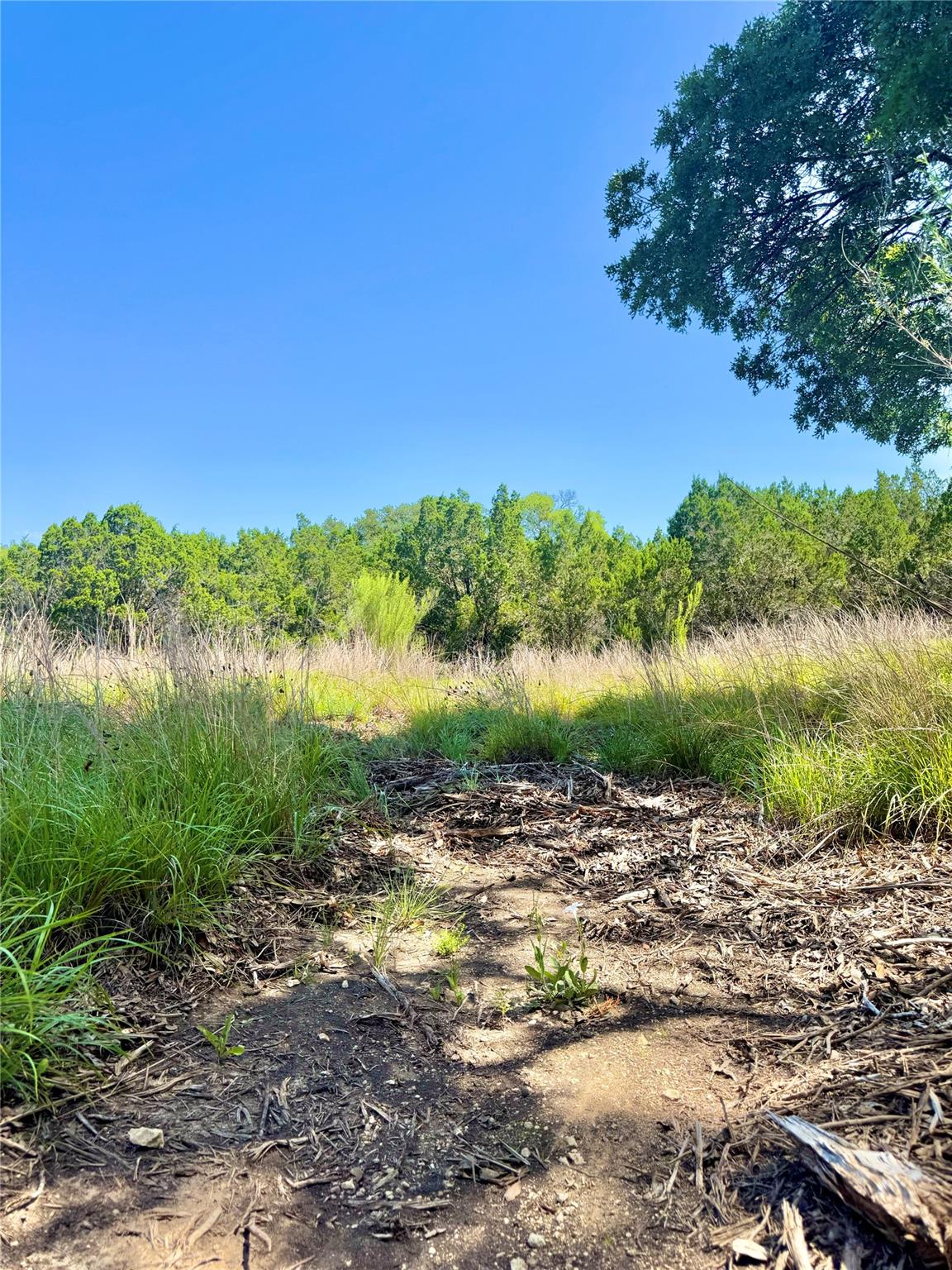 833 Bell Canyon Way, Bulverde, TX 78163