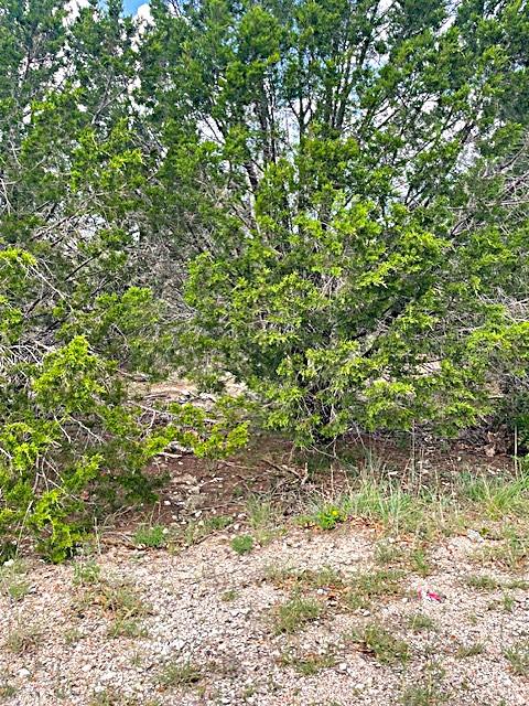 3226 Eisenhower Ave, Lago Vista, TX 78645