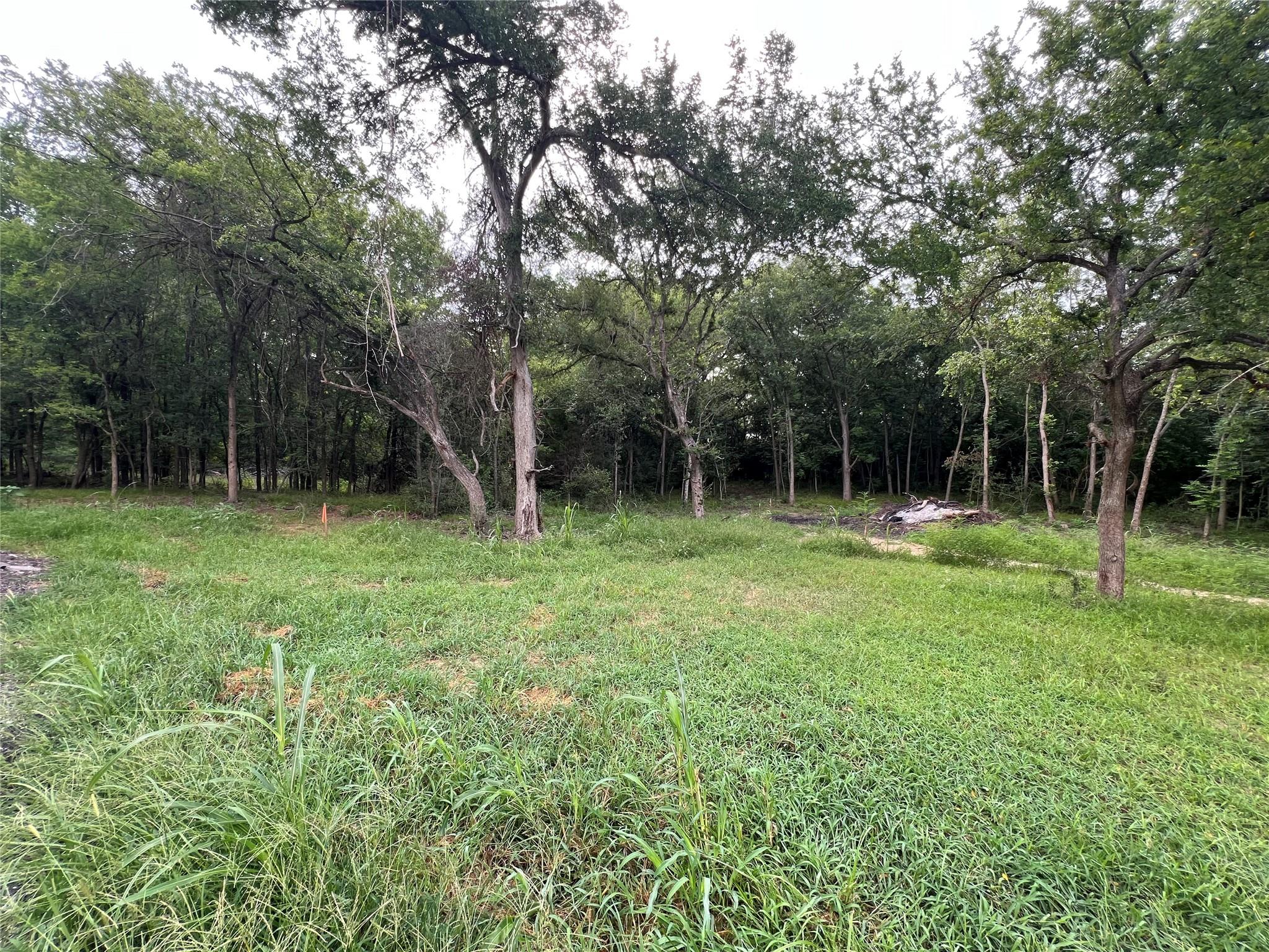 TBD FM 3000 Tract 1, Elgin, TX 78621